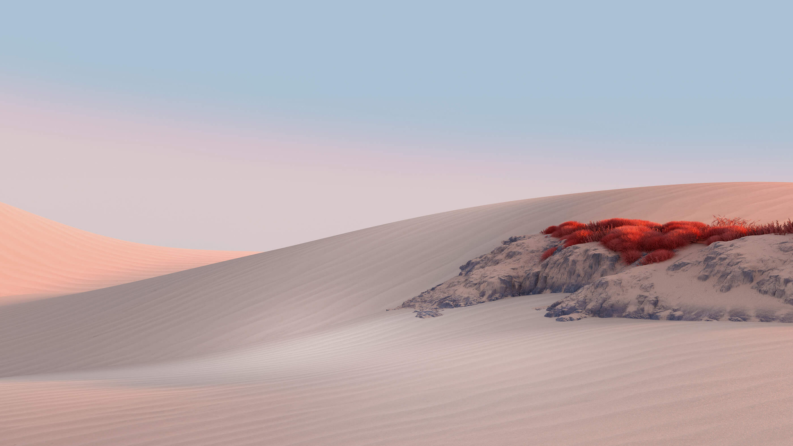 Surface, Microsoft, Sand, Natural Environment, Dune. Wallpaper in 2560x1440 Resolution