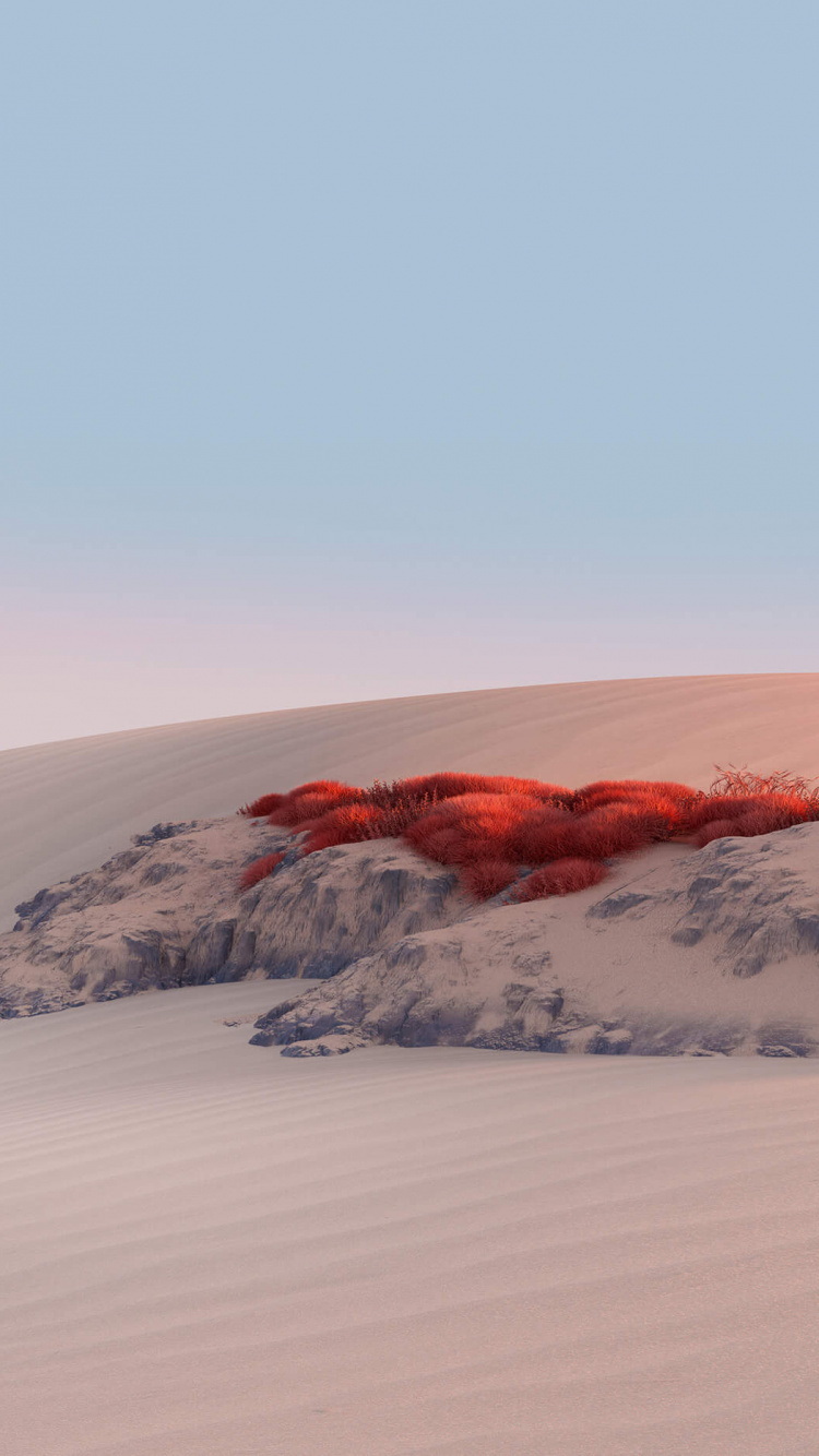 Surface, Microsoft, Sand, Natural Environment, Dune. Wallpaper in 750x1334 Resolution