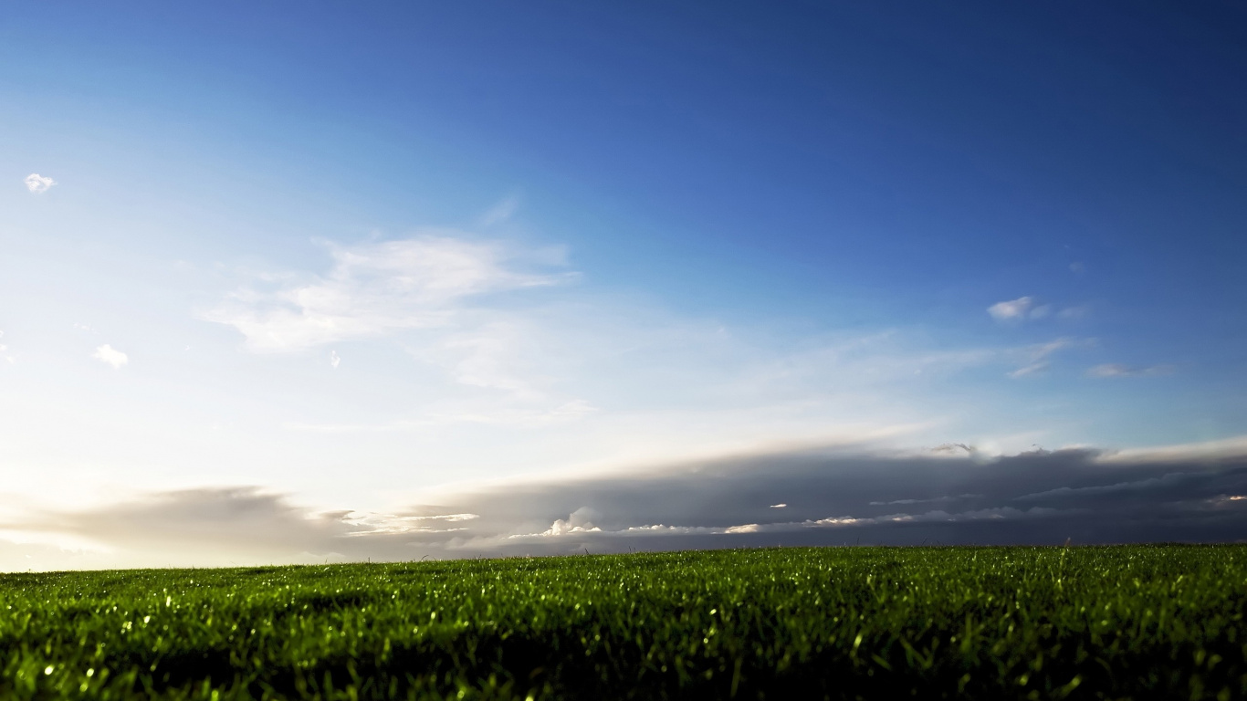 Tagsüber Grüne Wiese Unter Blauem Himmel. Wallpaper in 1366x768 Resolution