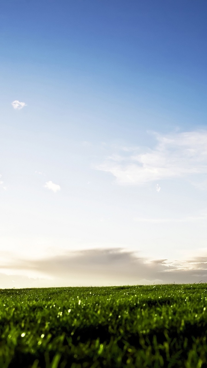 Green Grass Field Under Blue Sky During Daytime. Wallpaper in 720x1280 Resolution