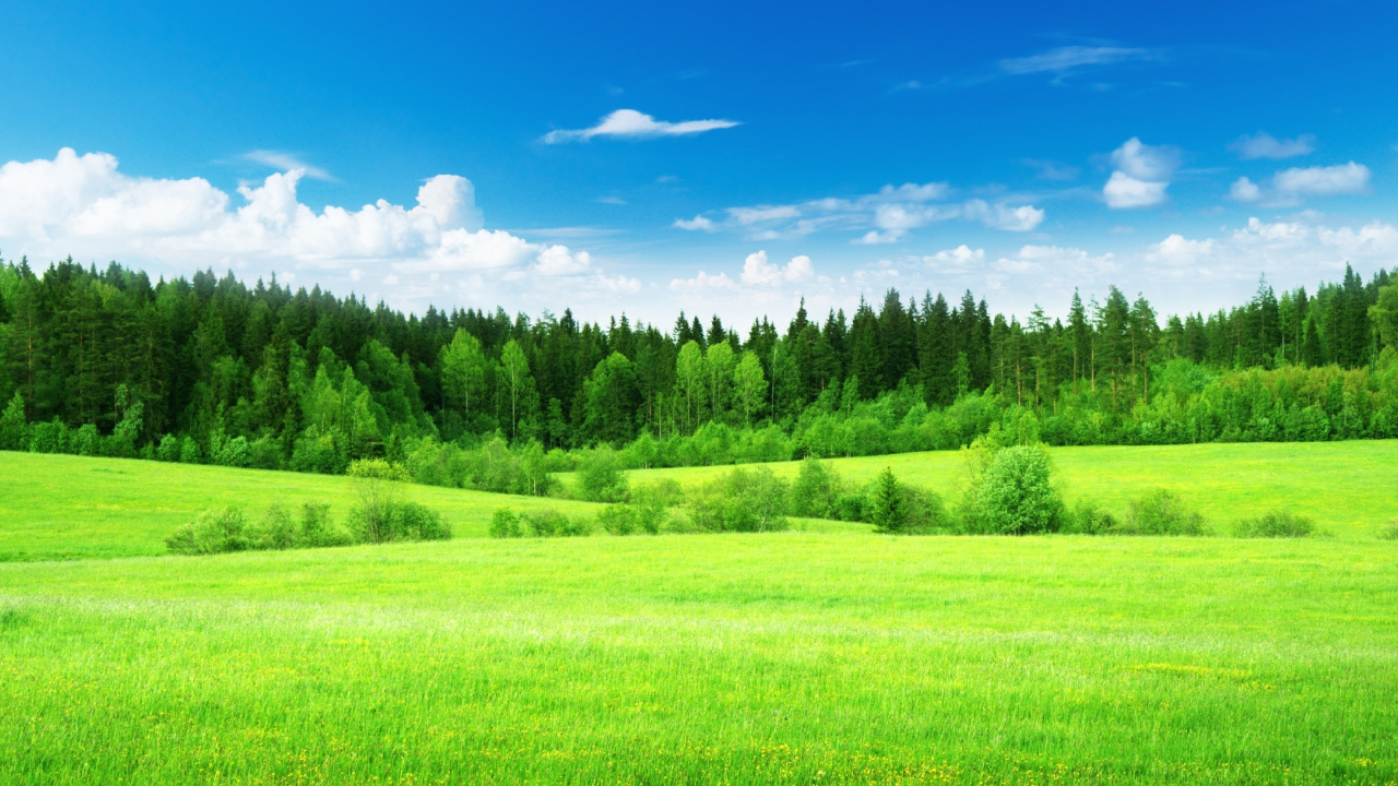 Green Grass Field Under Blue Sky During Daytime. Wallpaper in 1280x720 Resolution