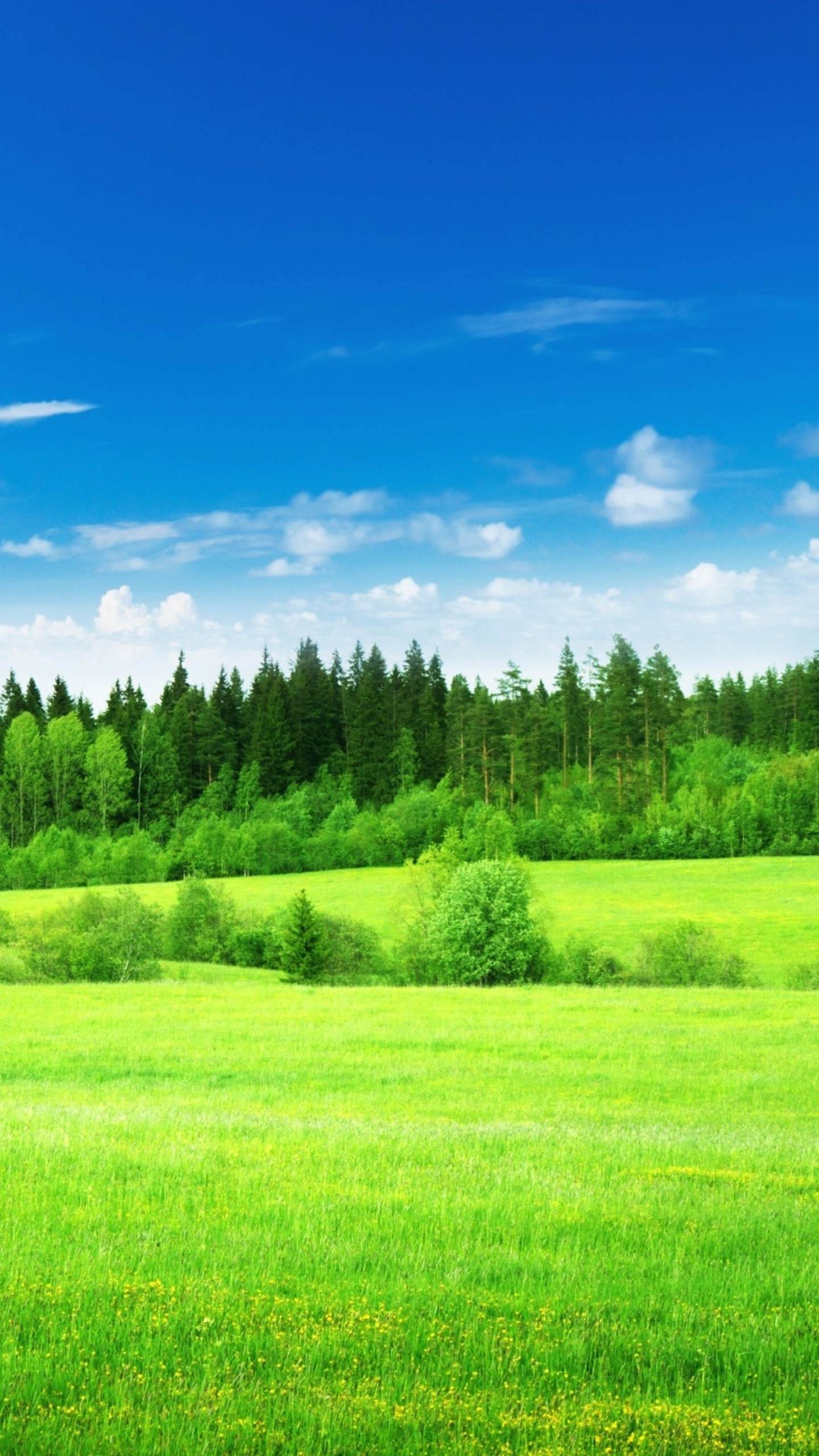 Green Grass Field Under Blue Sky During Daytime. Wallpaper in 1440x2560 Resolution