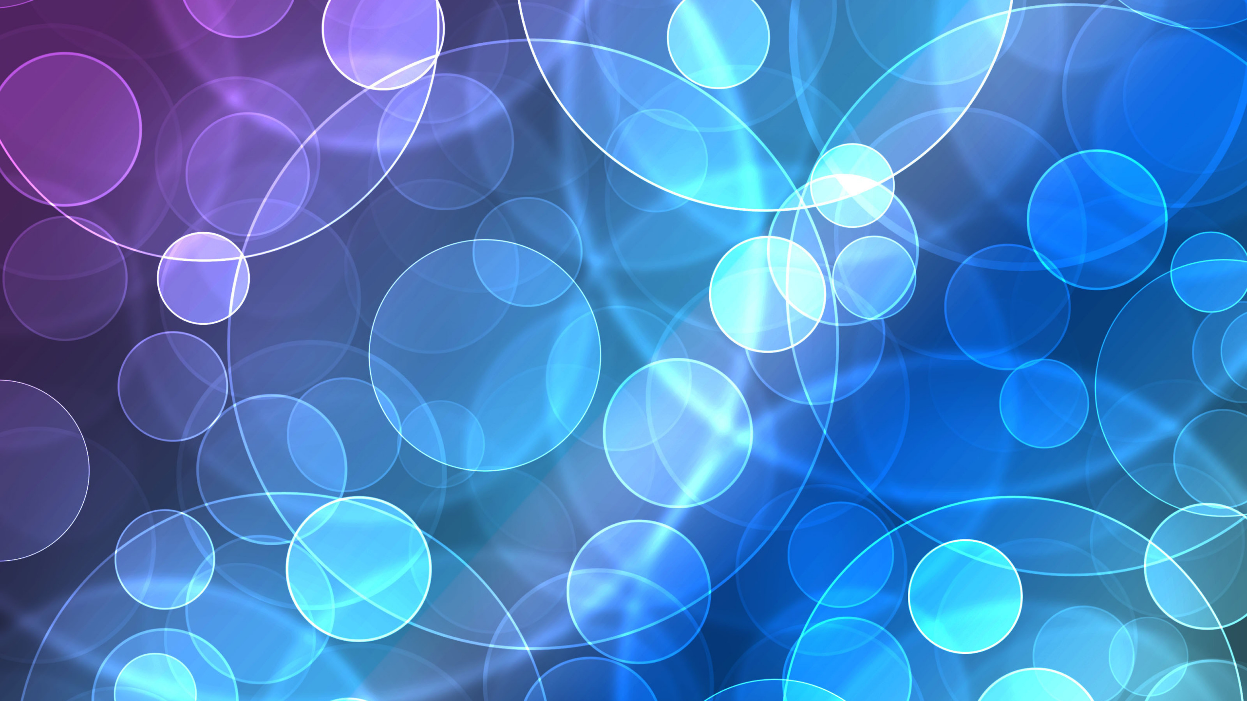 Bokeh Léger Bleu et Blanc. Wallpaper in 2560x1440 Resolution