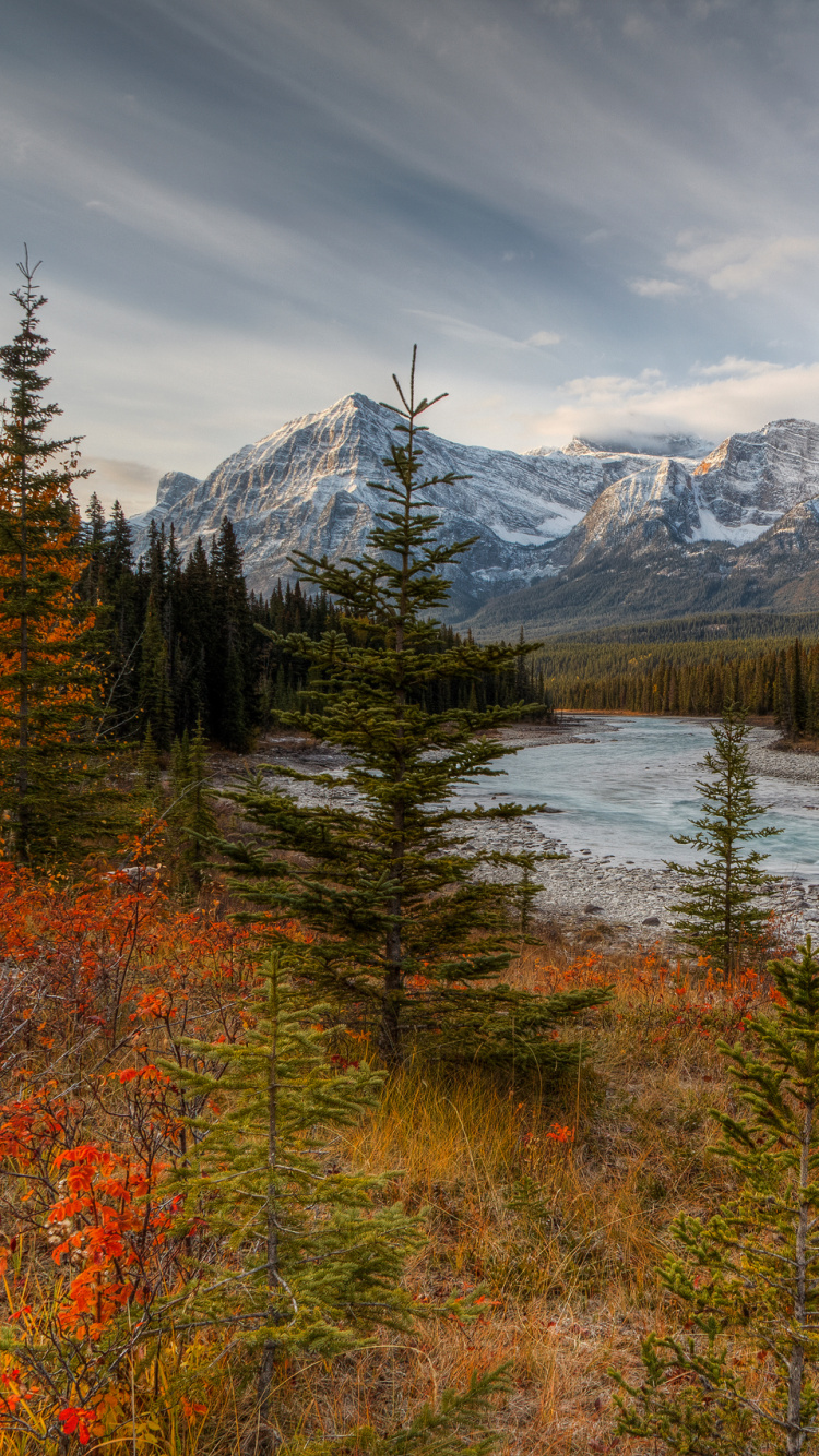 Green and Brown Trees Near Snow Covered Mountain Under Cloudy Sky During Daytime. Wallpaper in 750x1334 Resolution