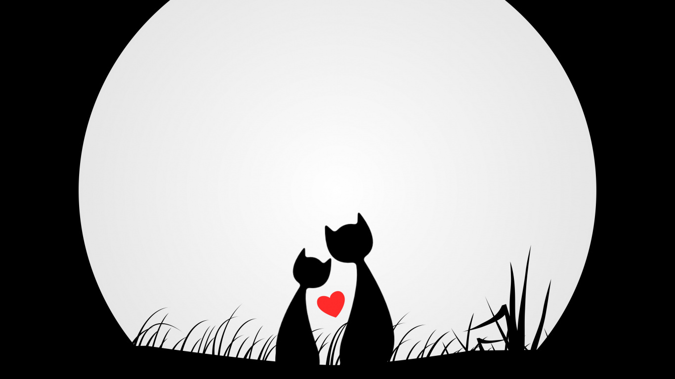 Ilustración de Gato Blanco y Negro. Wallpaper in 1366x768 Resolution