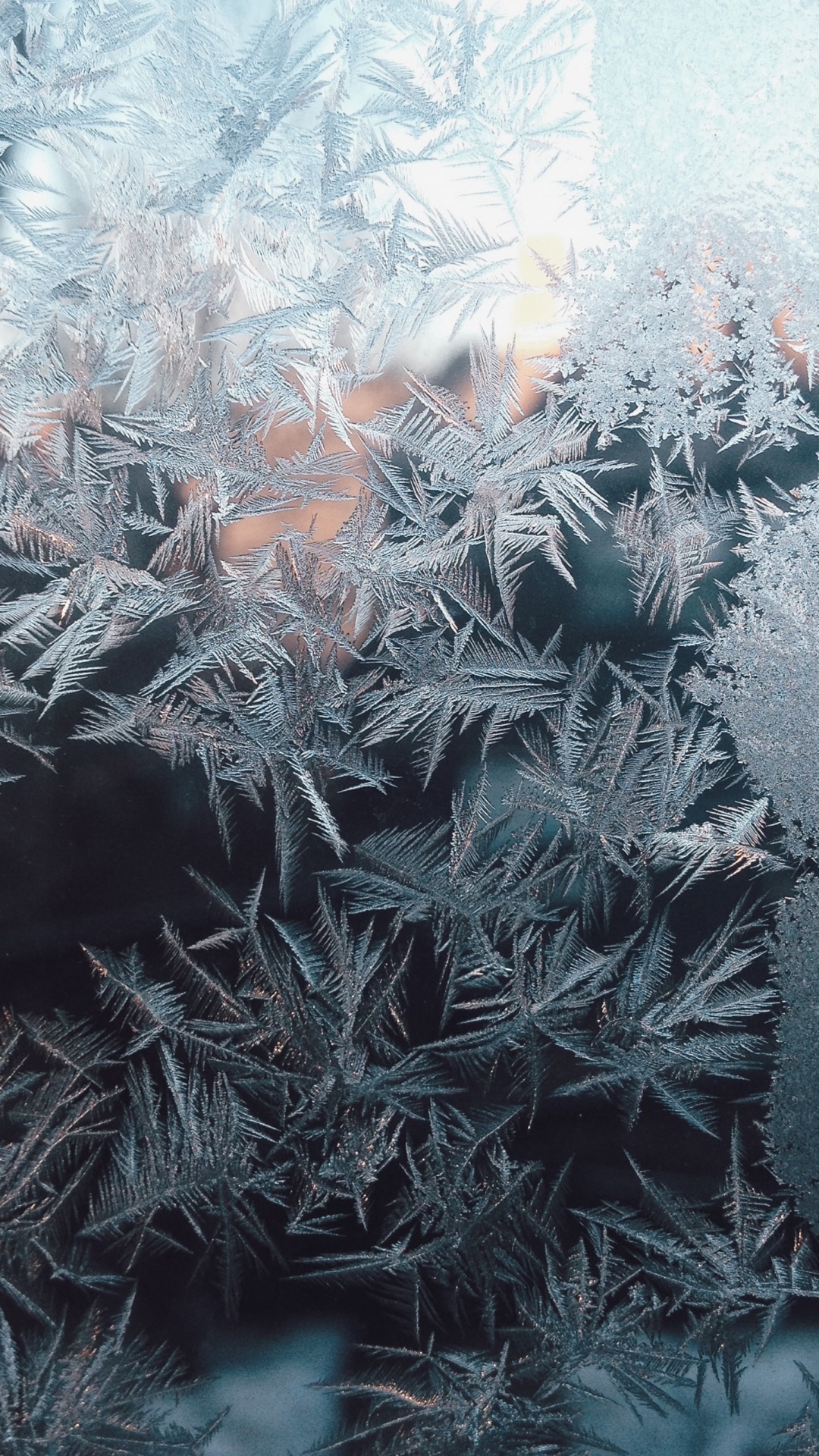 Plant, Twig, Terrestrial Plant, Freezing, Grass. Wallpaper in 1080x1920 Resolution