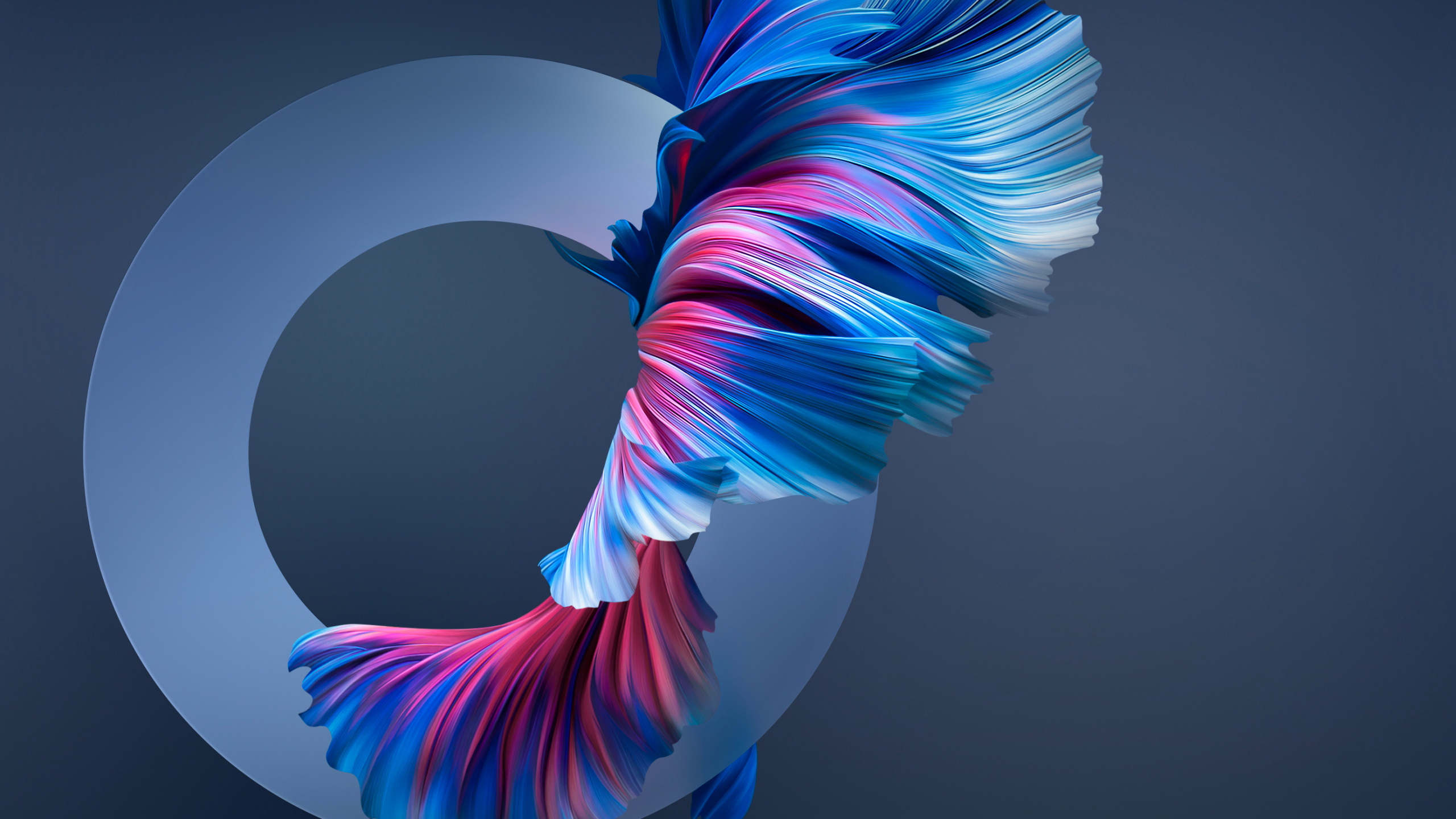 Huawei, Huawei Mate, Huawei Mate 40 Pro, Huawei Mate 30, Huawei Mate 20 Pro. Wallpaper in 2560x1440 Resolution