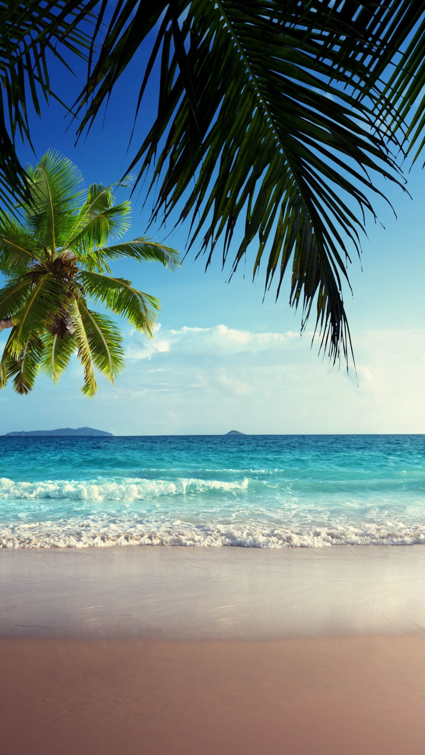 Eco Park, Park, Nature, Emerald Lake, Water. Wallpaper in 1440x2560 Resolution