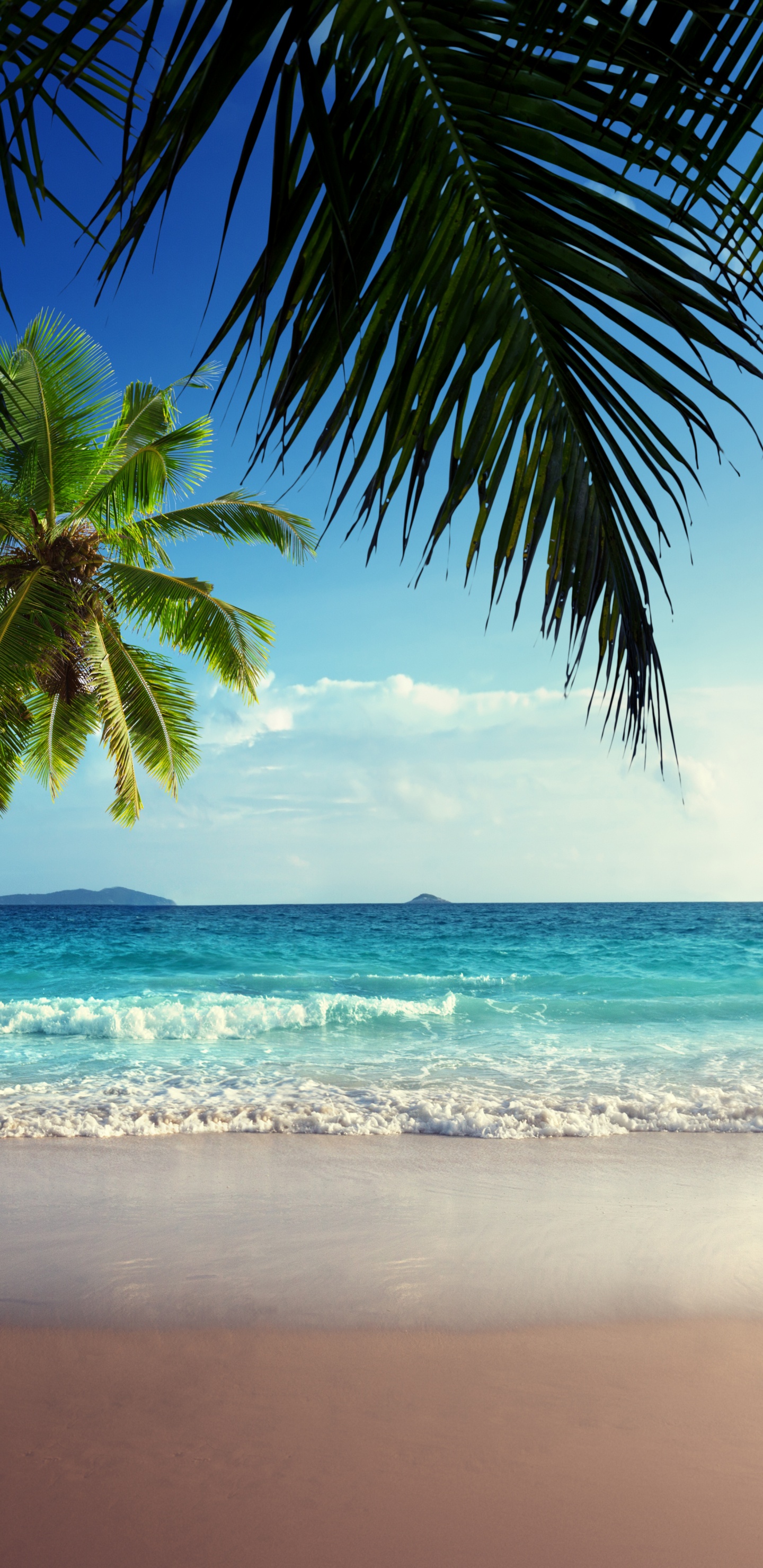 Parc Écologique, Parc, Nature, le Lac D'émeraude, Eau. Wallpaper in 1440x2960 Resolution