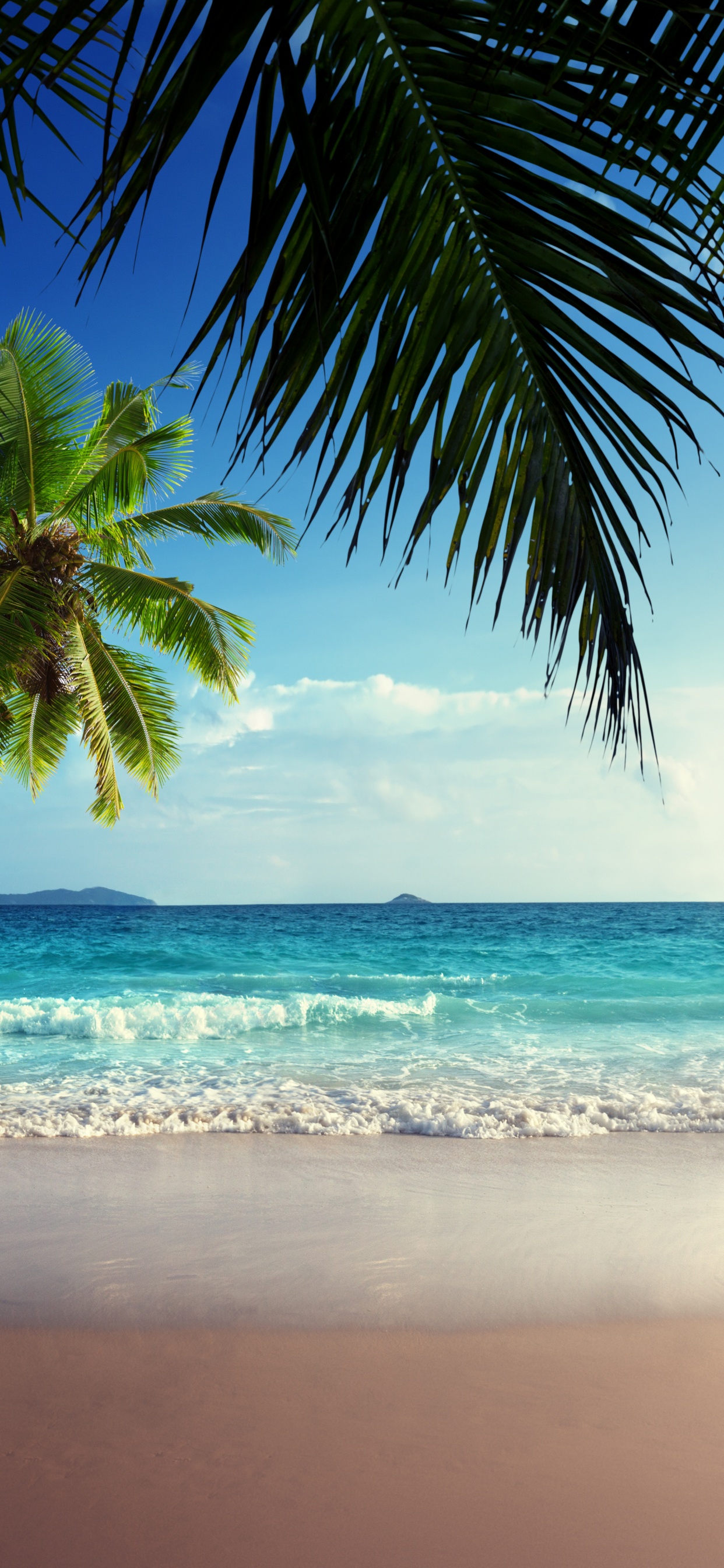 Parque Ecológico, Parque, Naturaleza, Emerald Lake, Agua. Wallpaper in 1242x2688 Resolution