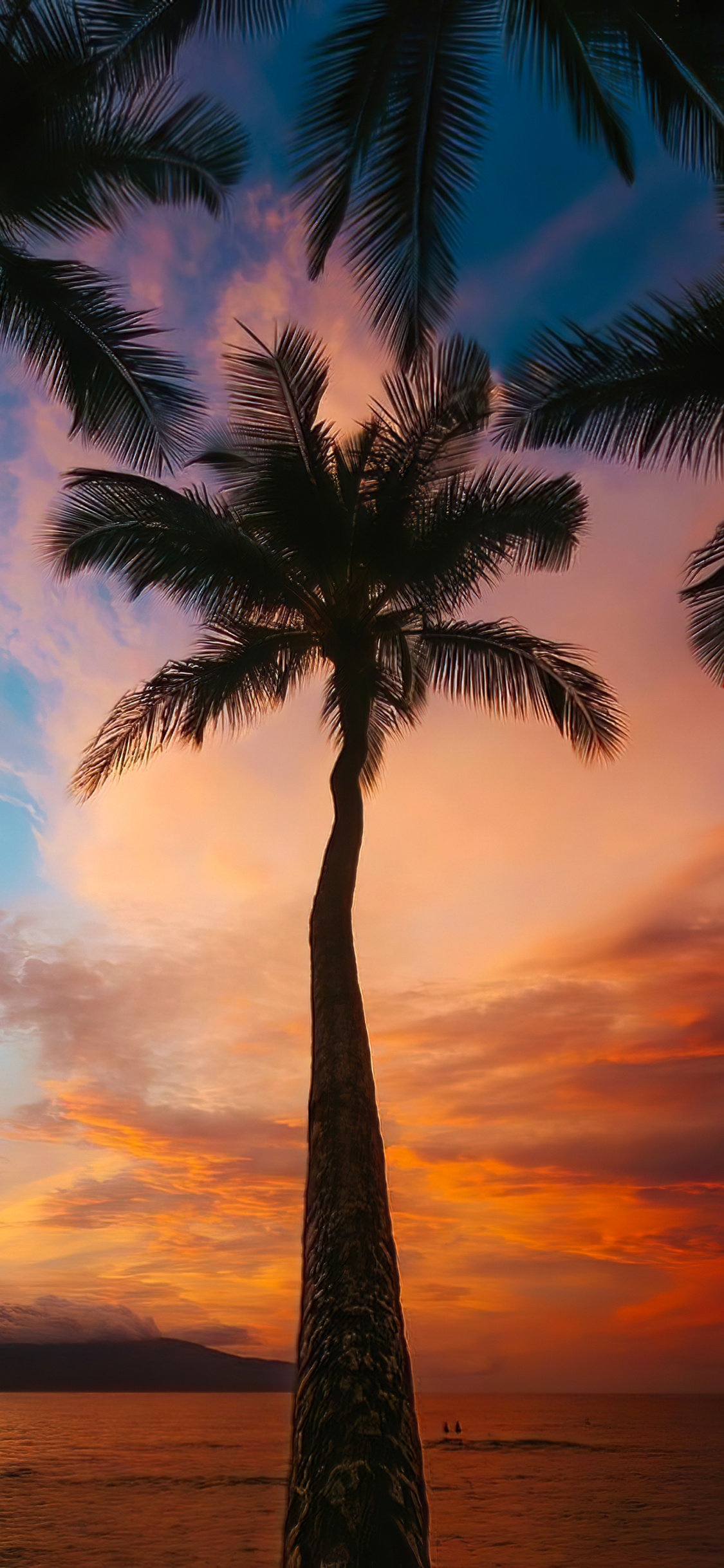 Atmosphère, la Journée, Lumière, Nature, Afterglow. Wallpaper in 1125x2436 Resolution