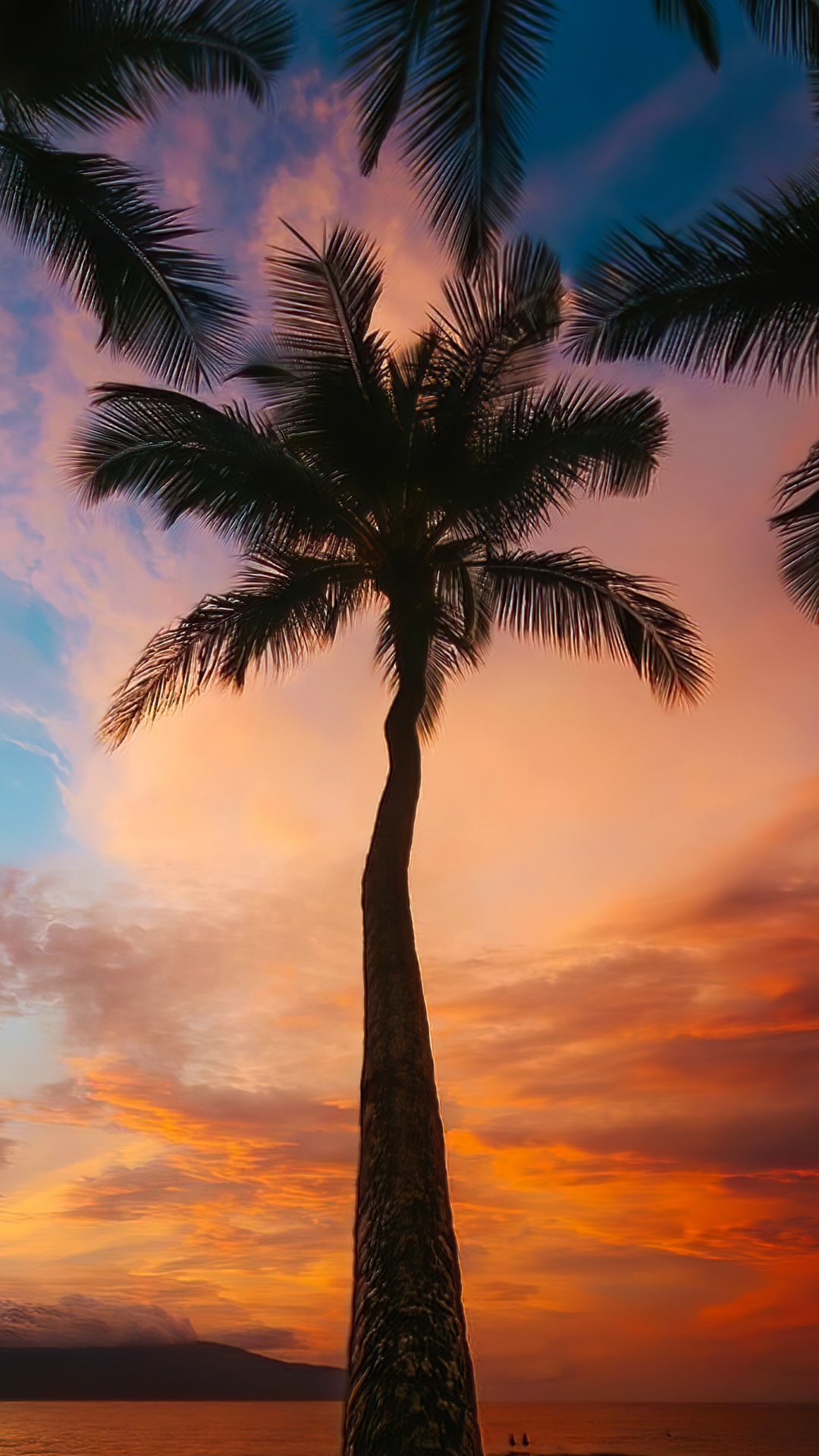 Cloud, Atmosphere, Daytime, Light, Plant. Wallpaper in 1080x1920 Resolution