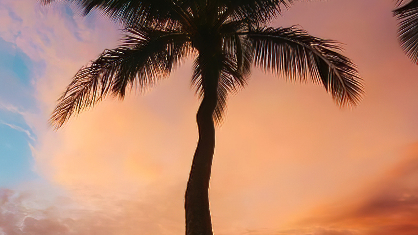 Cloud, Atmosphere, Daytime, Light, Plant. Wallpaper in 1366x768 Resolution