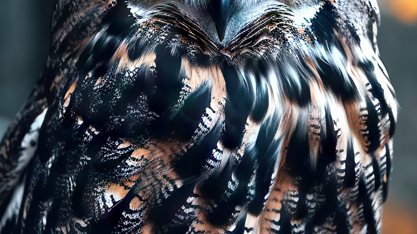 Eule, Eastern Screech Owl, Western Screech Owl, Große Gehörnte Eule, Vogel. Wallpaper in 1366x768 Resolution