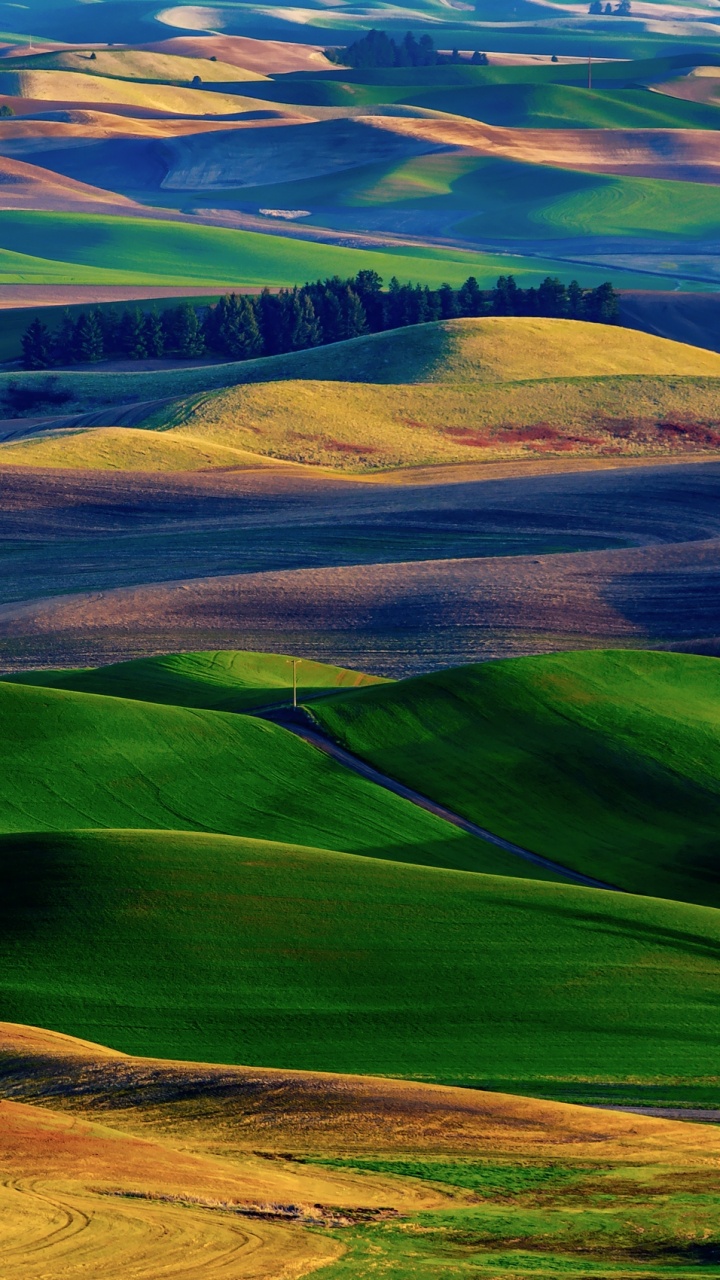 Tagsüber Grüne Wiese Unter Blauem Himmel. Wallpaper in 720x1280 Resolution