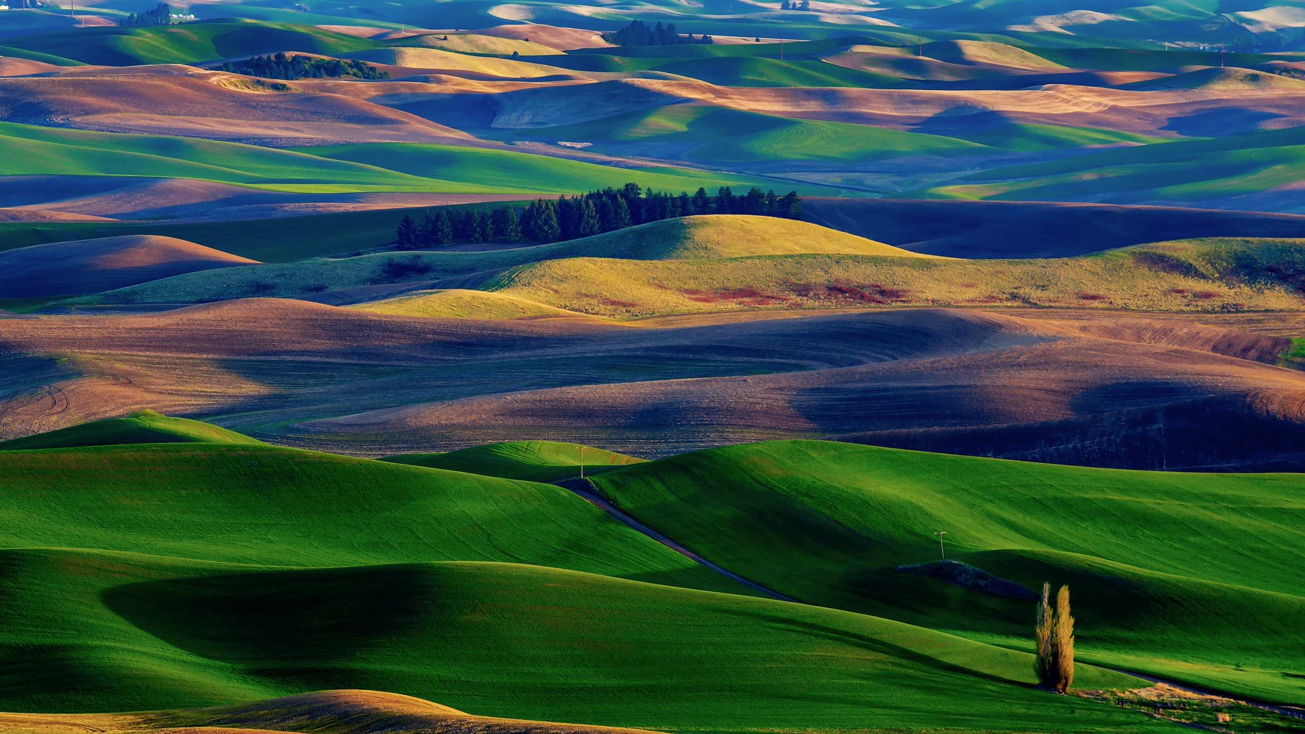 Green Grass Field Under Blue Sky During Daytime. Wallpaper in 2560x1440 Resolution