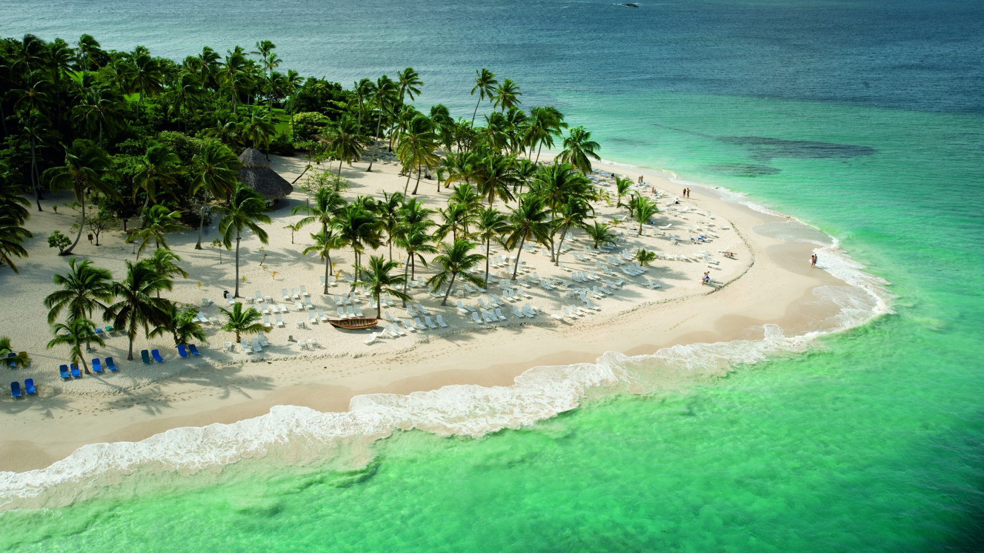 Green Palm Trees on Beach Shore During Daytime. Wallpaper in 1920x1080 Resolution