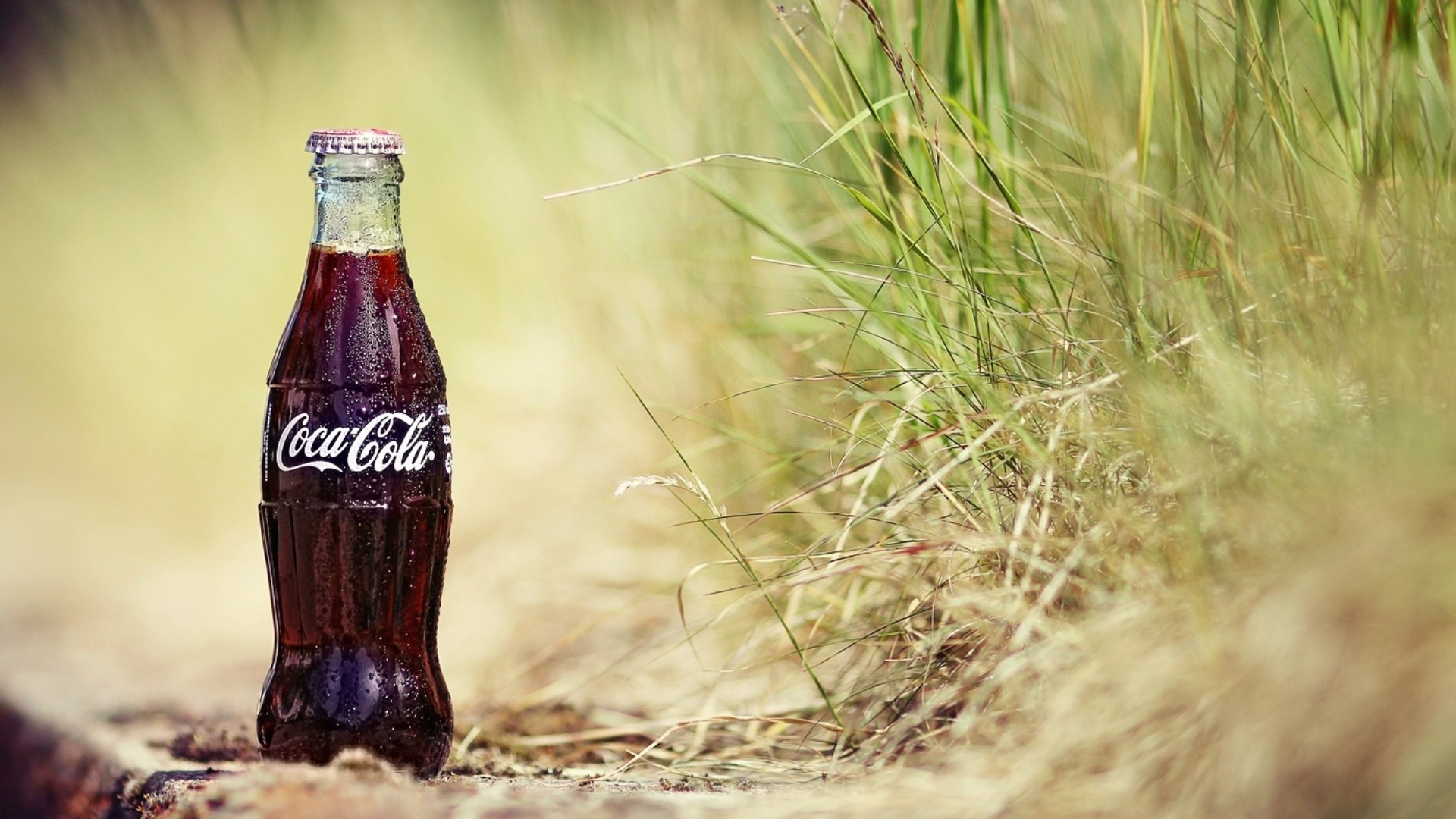 Download 1920x1080 Wallpaper Coca Cola Zero Bottle on Brown Dried Grass Coca Cola Zero Bottle on Brown Dried Grass. Wallpaper in 1920x1080 Resolution