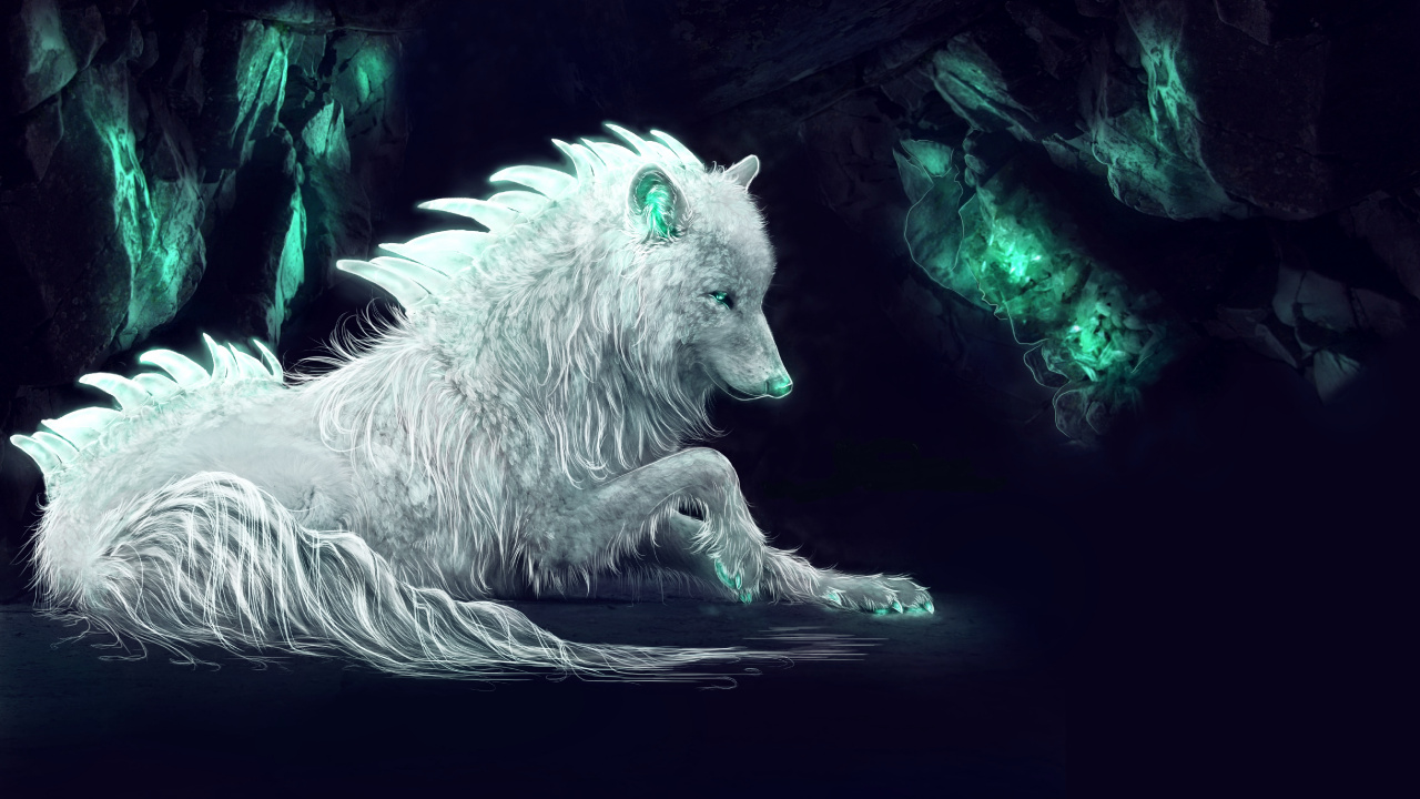 White Wolf Lying on White Textile. Wallpaper in 1280x720 Resolution