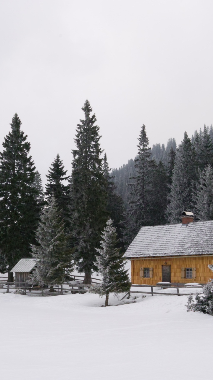 Brown Wooden House on Snow Covered Ground Near Green Pine Trees During Daytime. Wallpaper in 720x1280 Resolution