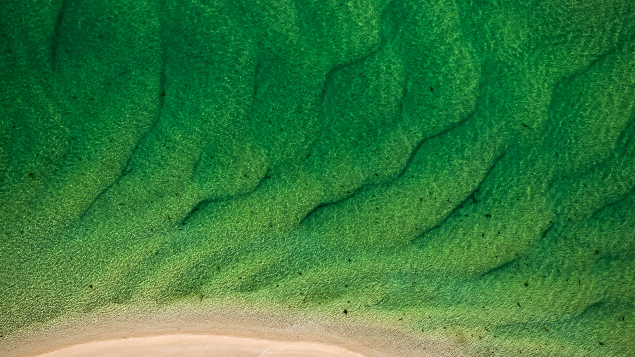 Sand, Grassland, Ecoregion, Azure, Body of Water. Wallpaper in 1280x720 Resolution