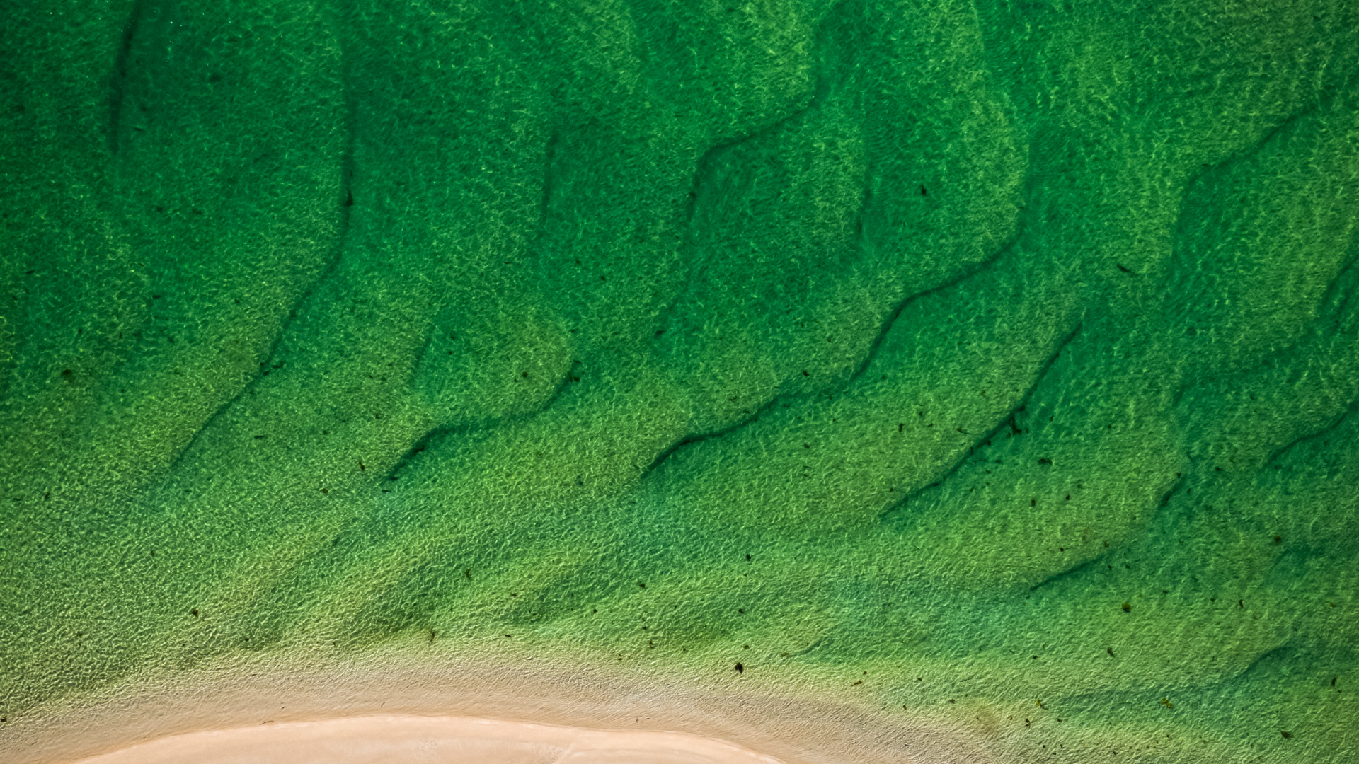 Sand, Grünland, Ökoregion, Azure, Gewässer. Wallpaper in 1920x1080 Resolution