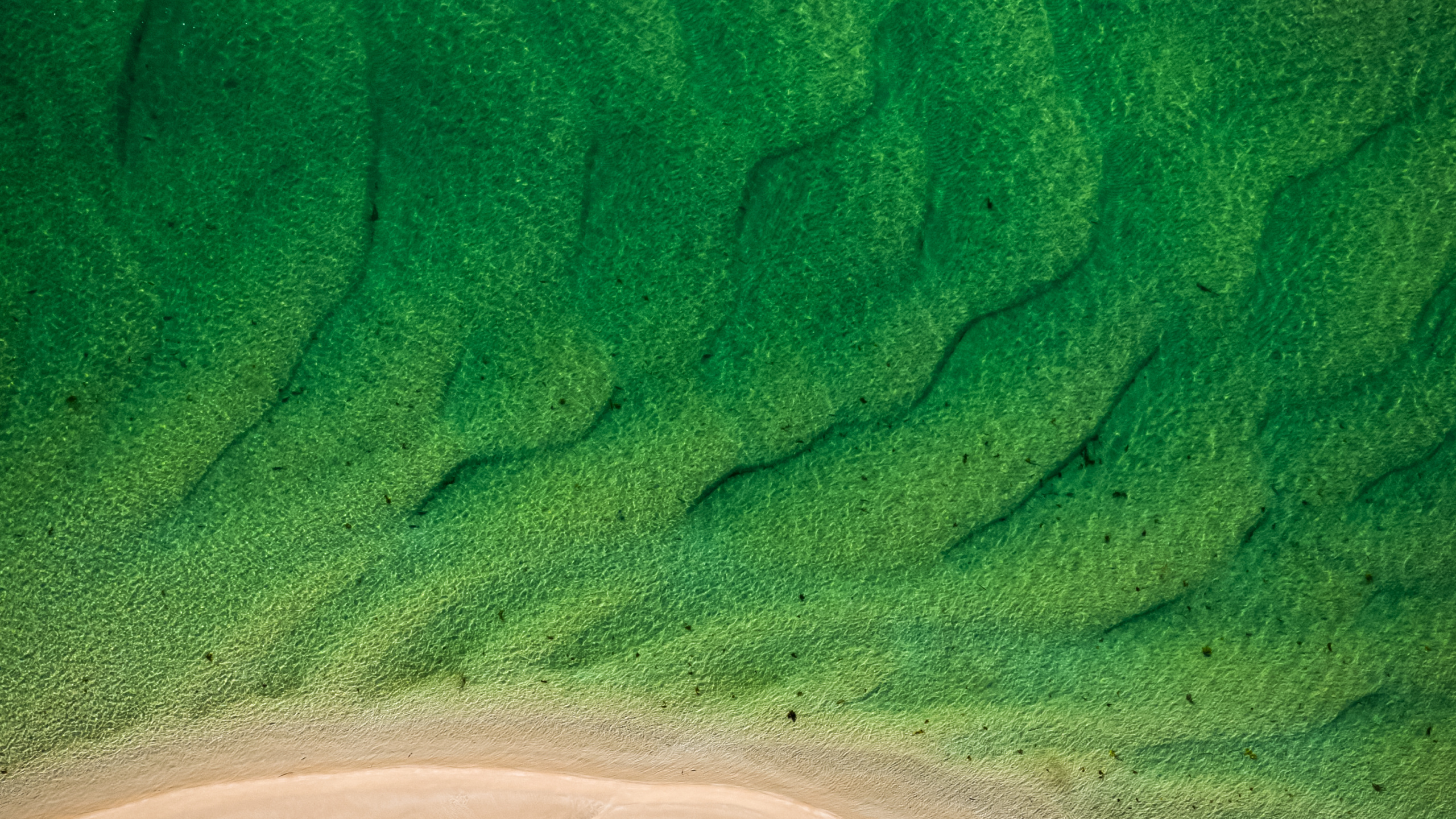 Sand, Prairie, L'écorégion, Azure, Corps de L'eau. Wallpaper in 2560x1440 Resolution