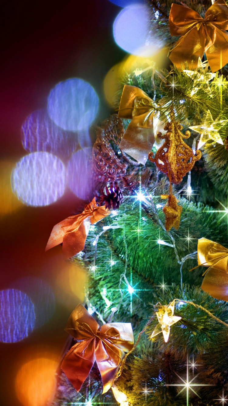 Christmas Day, Christmas Tree, Christmas Ornament, Lighting, Christmas Decoration. Wallpaper in 750x1334 Resolution