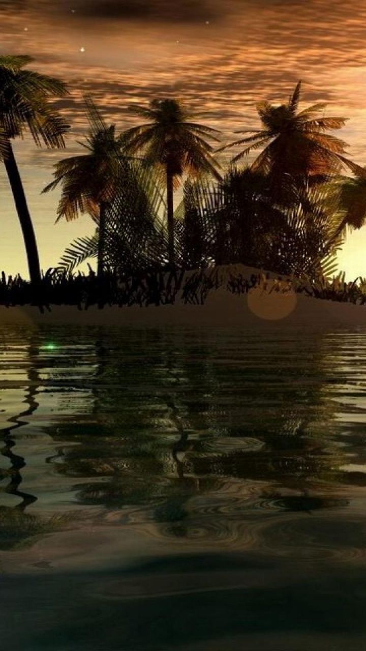 Palmen am Strand Bei Sonnenuntergang. Wallpaper in 720x1280 Resolution