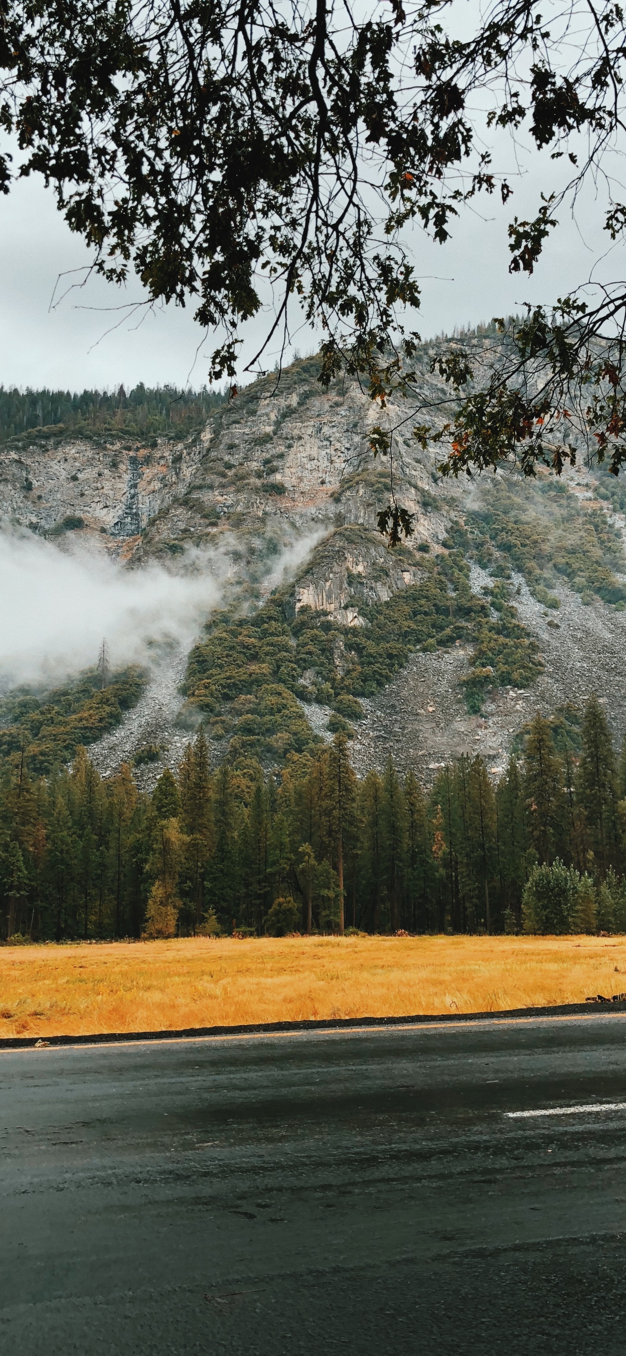 自然景观, 性质, 早上, 木本植物, 天空 壁纸 1242x2688 允许