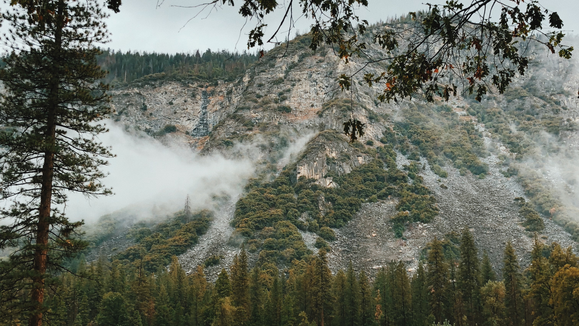 自然景观, 性质, 早上, 木本植物, 天空 壁纸 1920x1080 允许