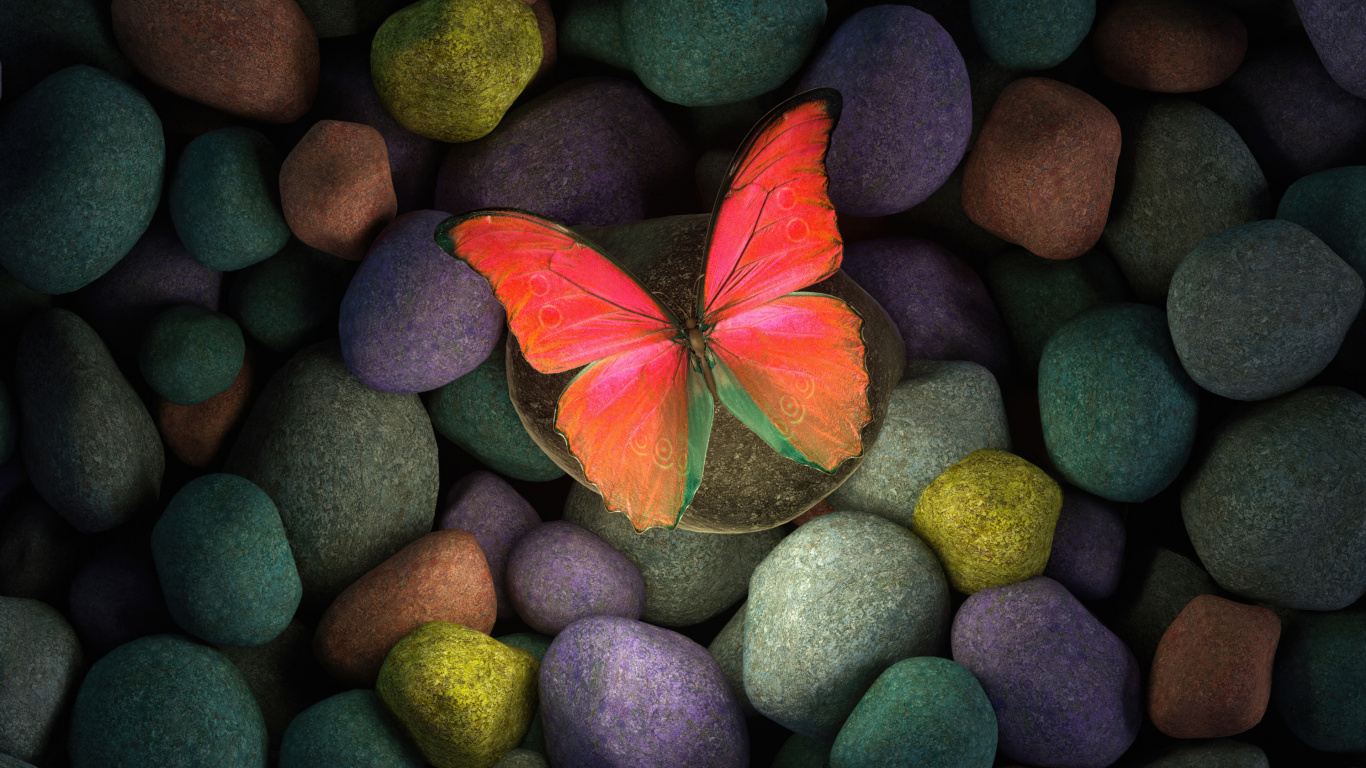 Plant, Leaf, Pollinator, Nature, Botany. Wallpaper in 1366x768 Resolution