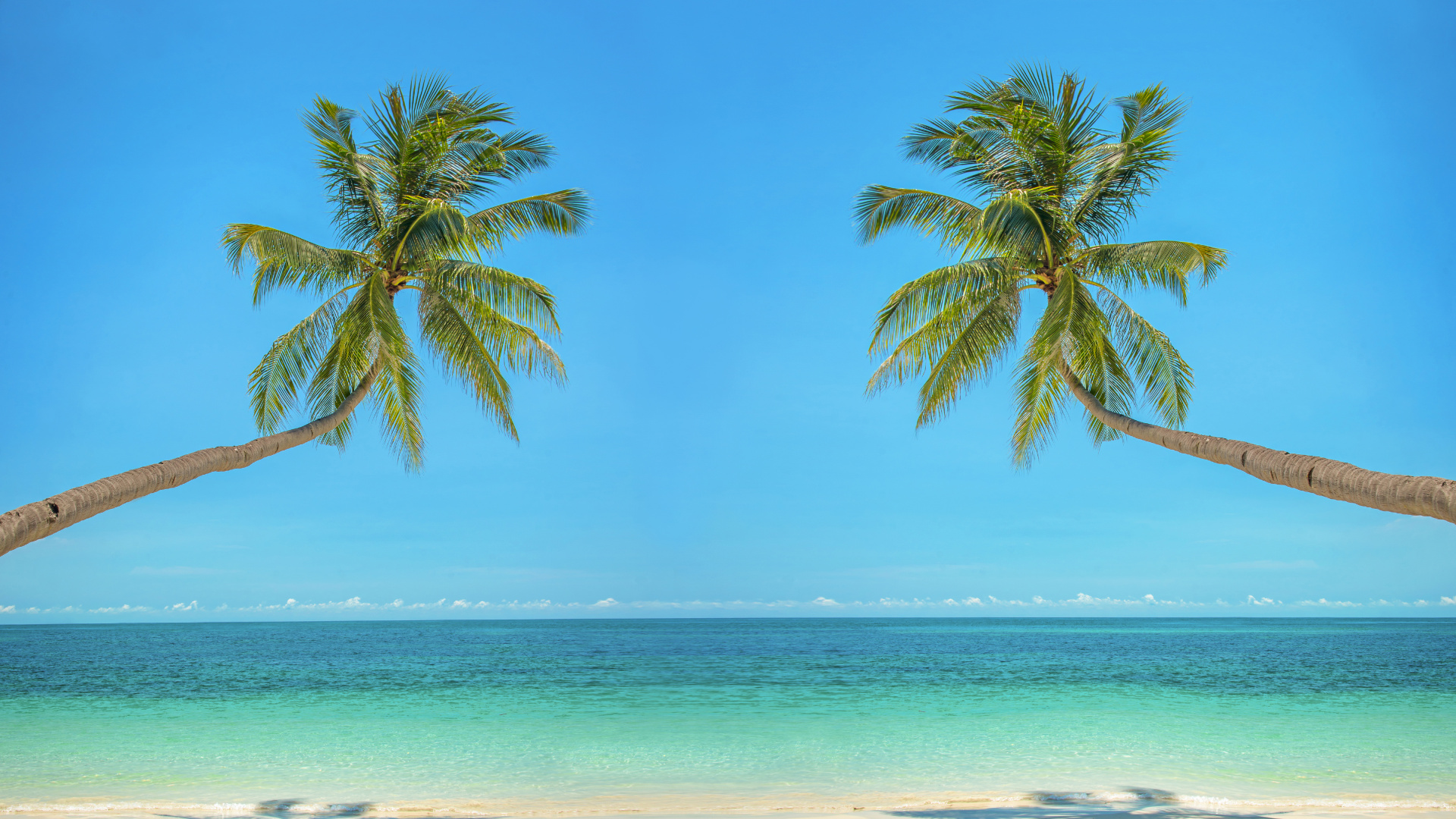 Green Palm Tree on Beach During Daytime. Wallpaper in 1920x1080 Resolution