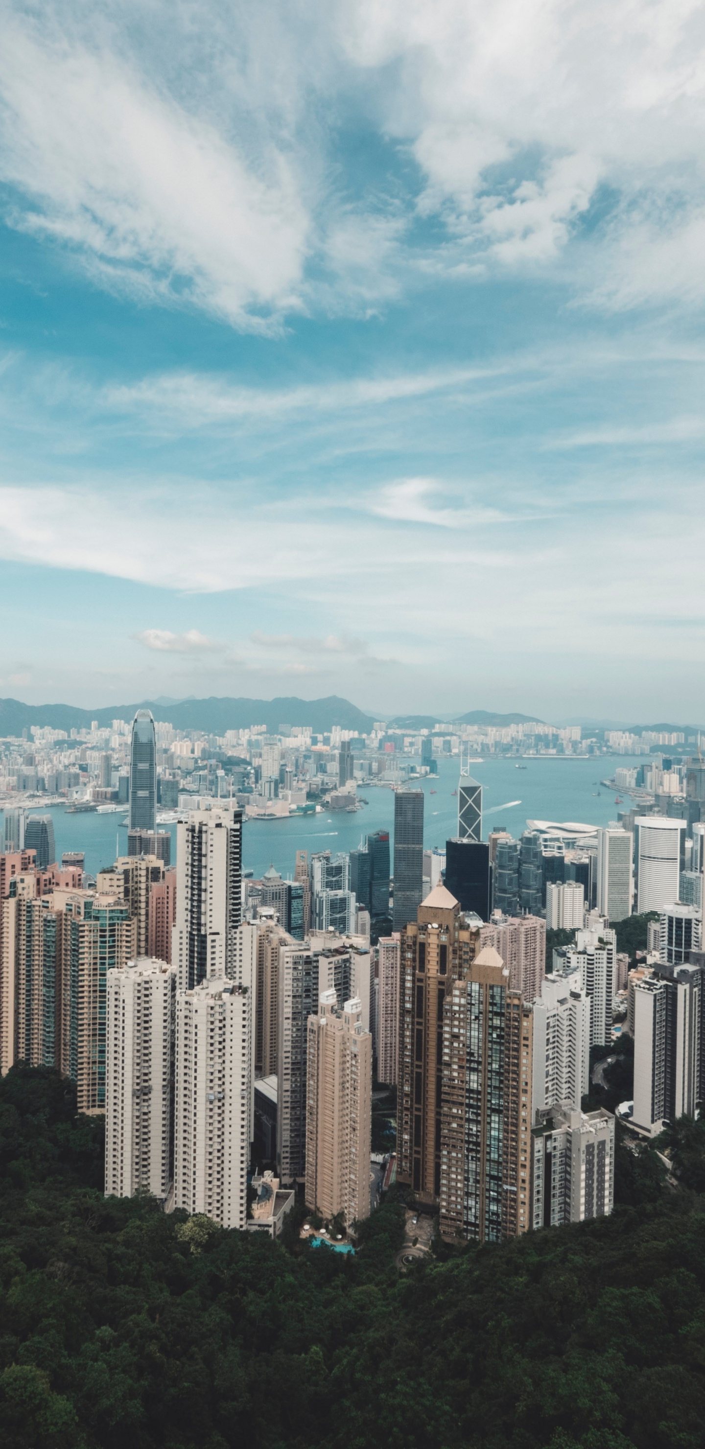 香港, 城市景观, 城市, 大都会, 天际线 壁纸 1440x2960 允许