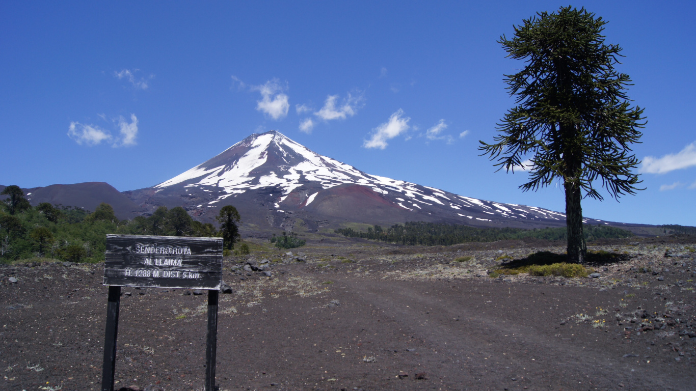 Green Palm Tree Near Mountain Under Blue Sky During Daytime. Wallpaper in 1366x768 Resolution