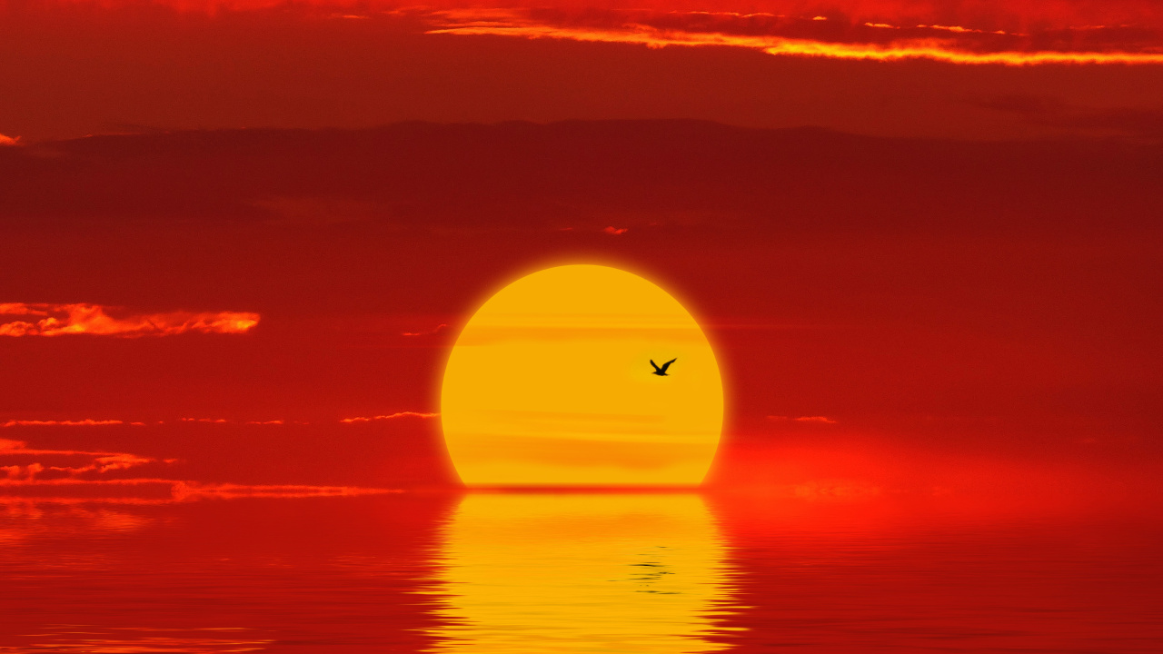 Sunset, Horizon, Afterglow, Red, Orange. Wallpaper in 1280x720 Resolution
