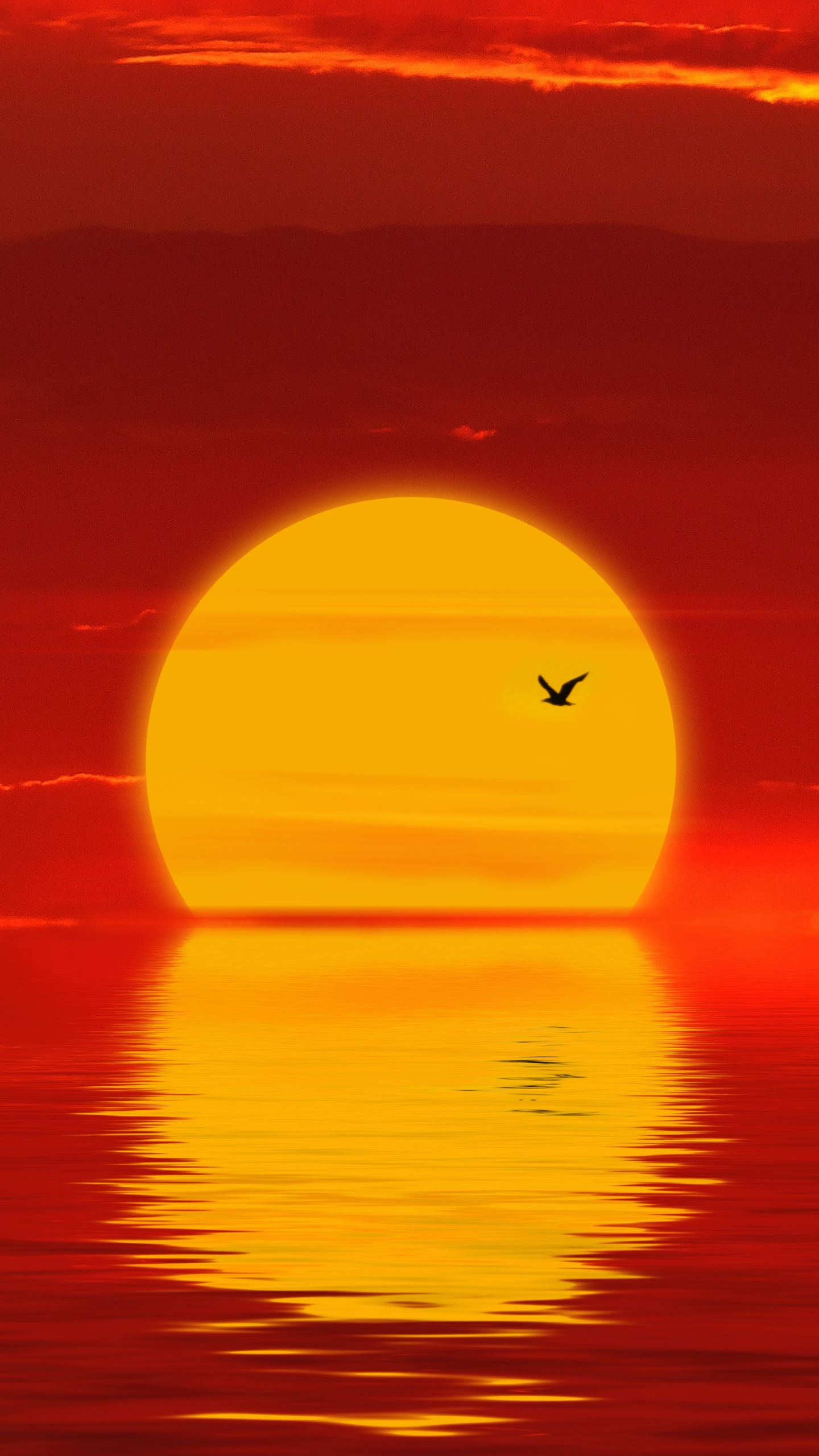 Sunset, Horizon, Afterglow, Red, Orange. Wallpaper in 1440x2560 Resolution