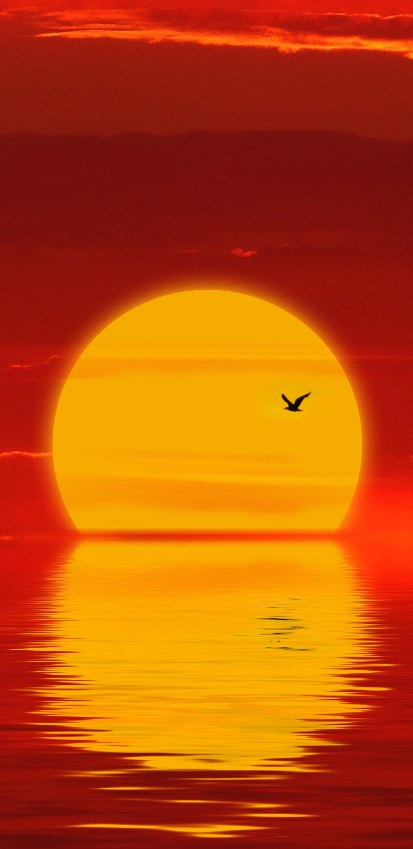 Sunset, Horizon, Afterglow, Red, Orange. Wallpaper in 1440x2960 Resolution
