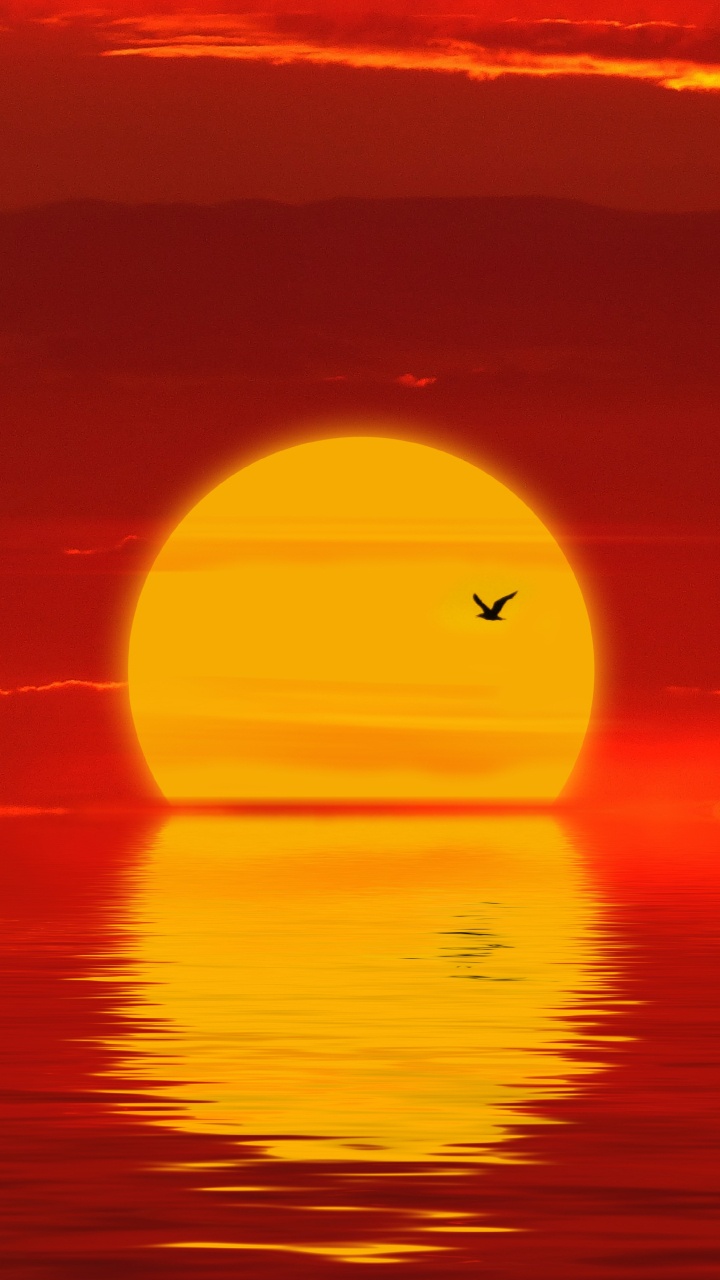 日落, 地平线, 余辉, 红色的, 橙色 壁纸 720x1280 允许