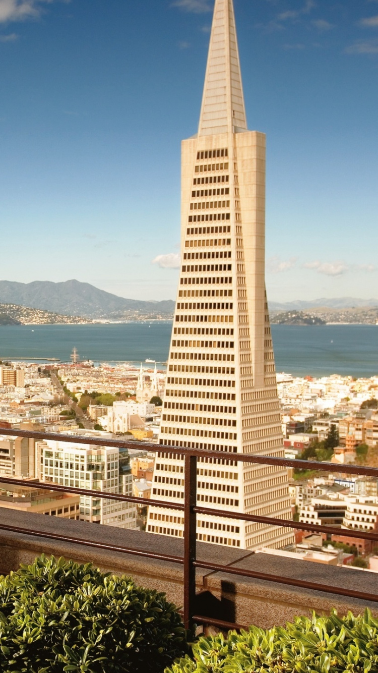White and Brown High Rise Building Near Green Trees and Body of Water During Daytime. Wallpaper in 750x1334 Resolution