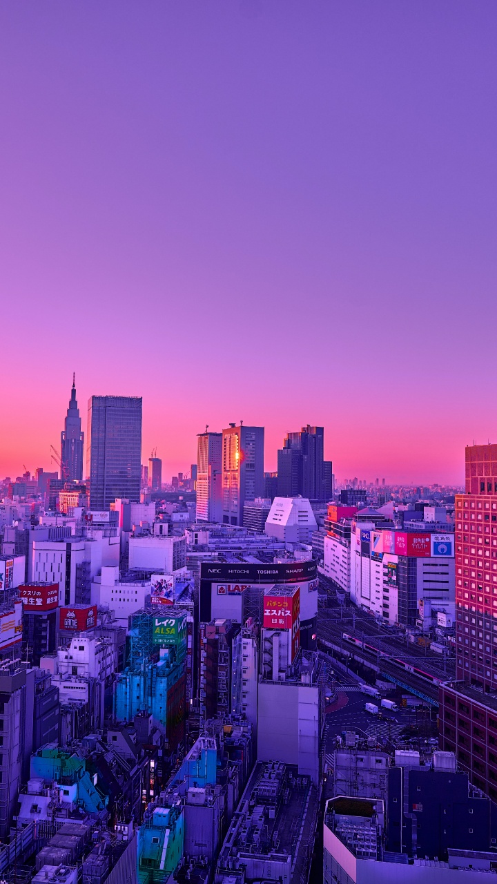 城市, 紫色的, 天际线, 气氛, 余辉 壁纸 720x1280 允许