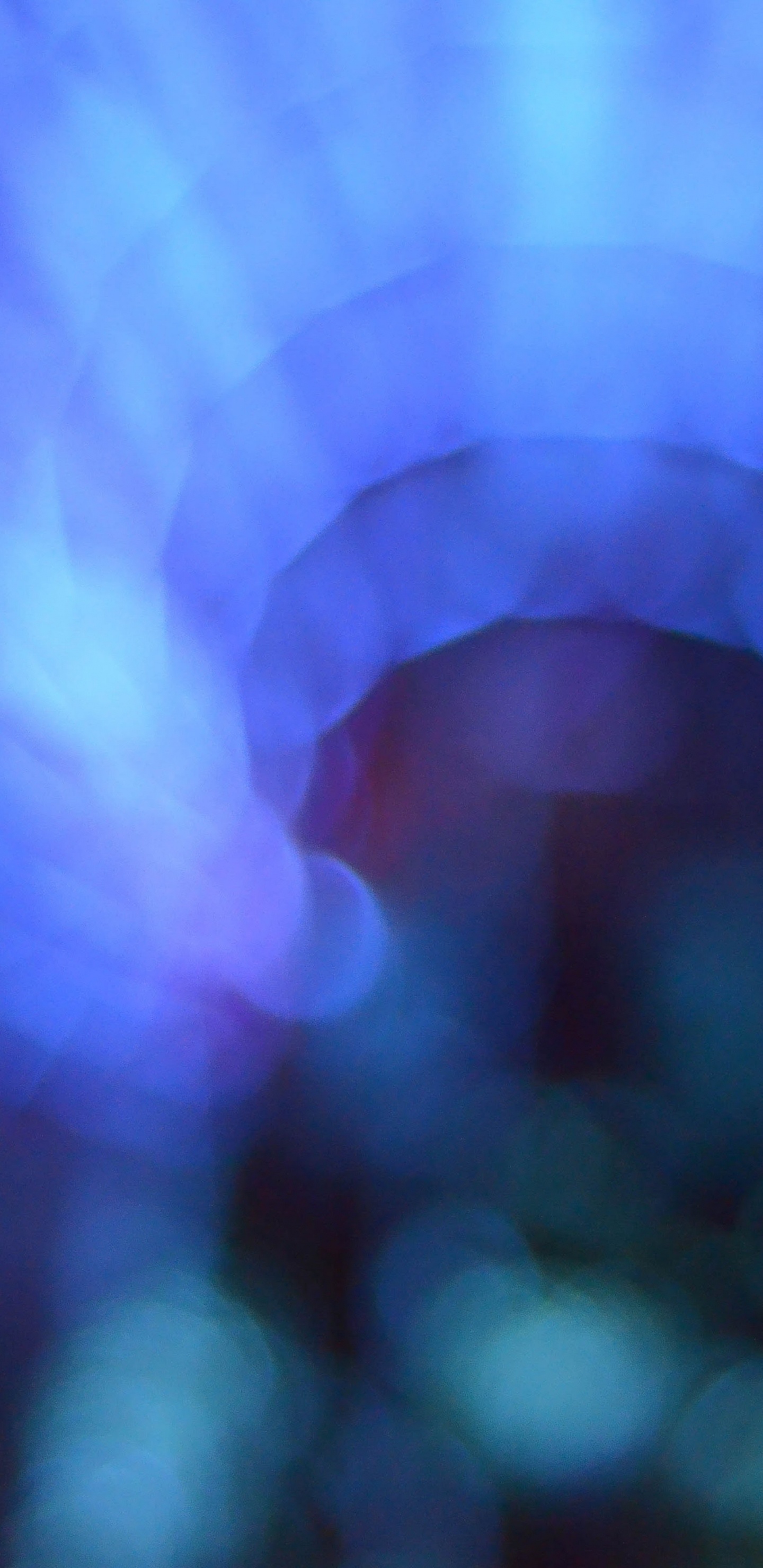 Apple, IPhone, IPhone X, Apples, Ios. Wallpaper in 1440x2960 Resolution