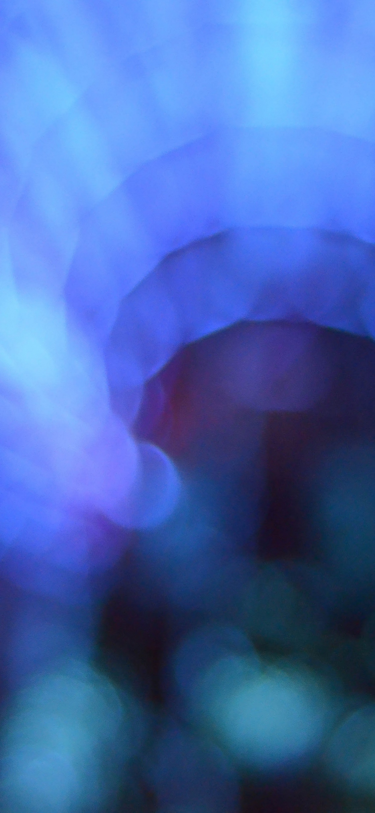 IPhone, IPhone X, Apple, IOS, Corps de L'eau. Wallpaper in 1242x2688 Resolution