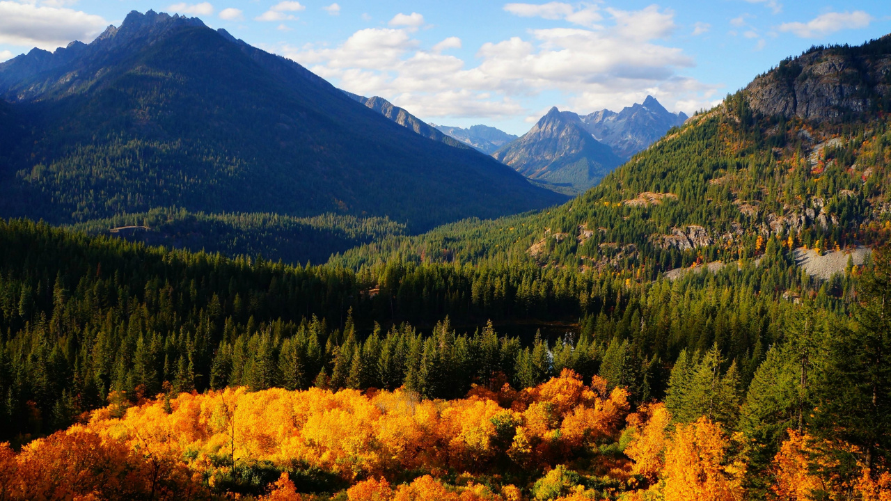 Green and Yellow Trees Near Mountains During Daytime. Wallpaper in 1280x720 Resolution