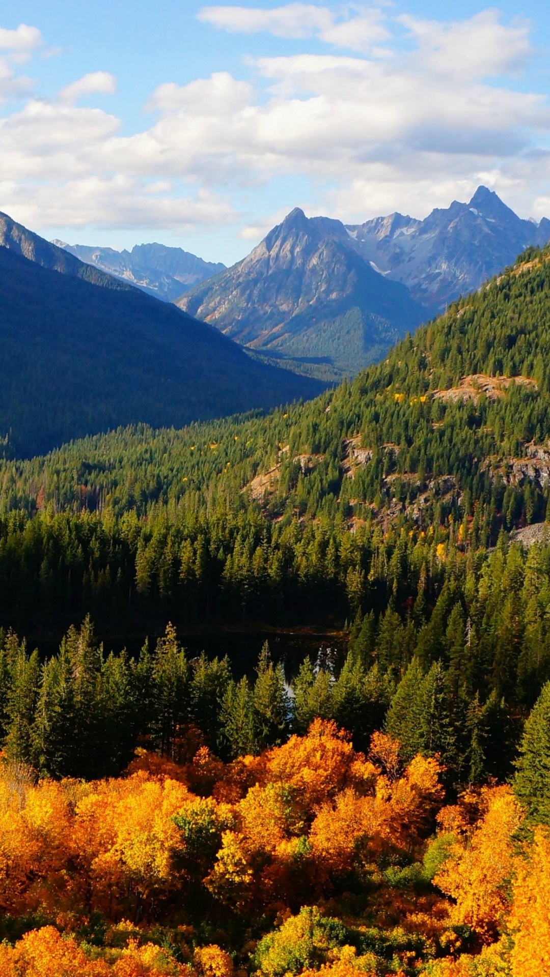 Tagsüber Grüne Und Gelbe Bäume in Der Nähe Von Bergen. Wallpaper in 1080x1920 Resolution