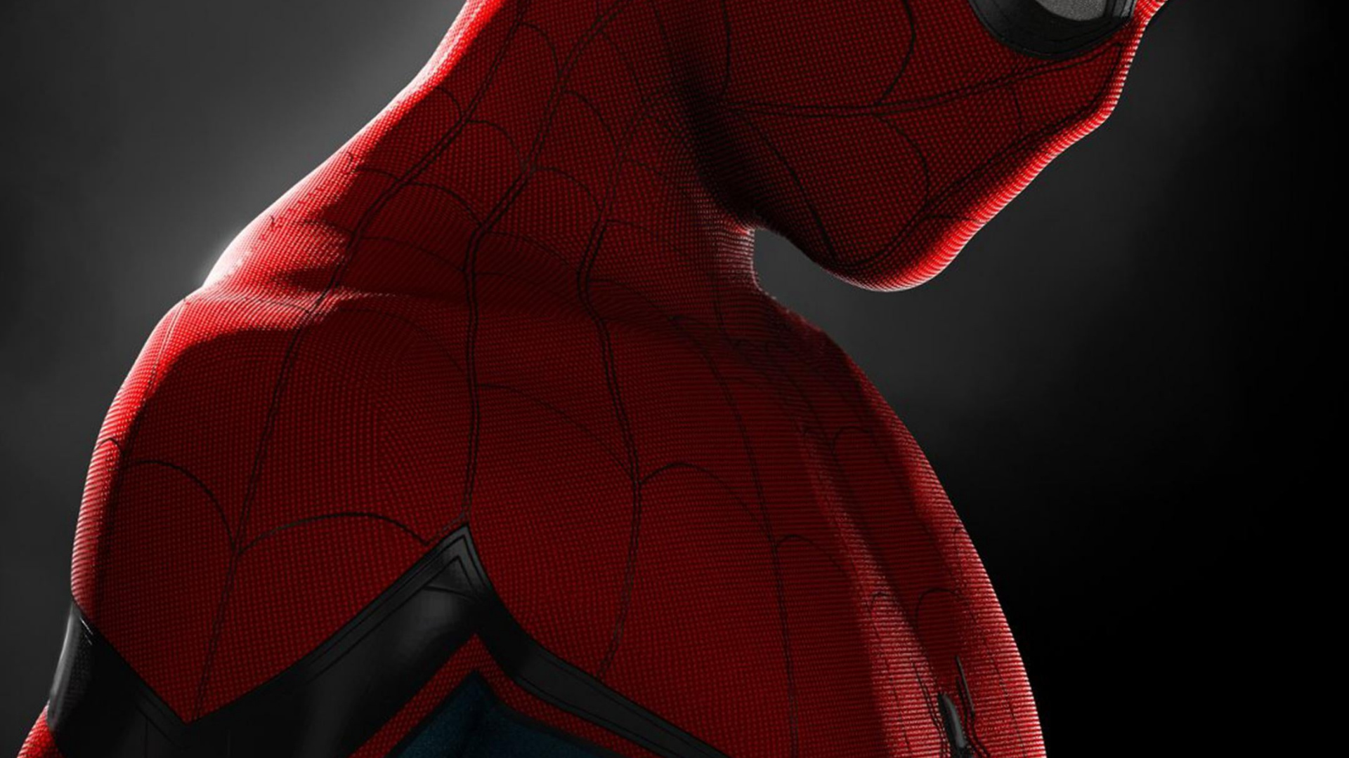 Homme Araignée, Spider-man, Peter Parker, Araignée, Marvel Comics. Wallpaper in 1920x1080 Resolution