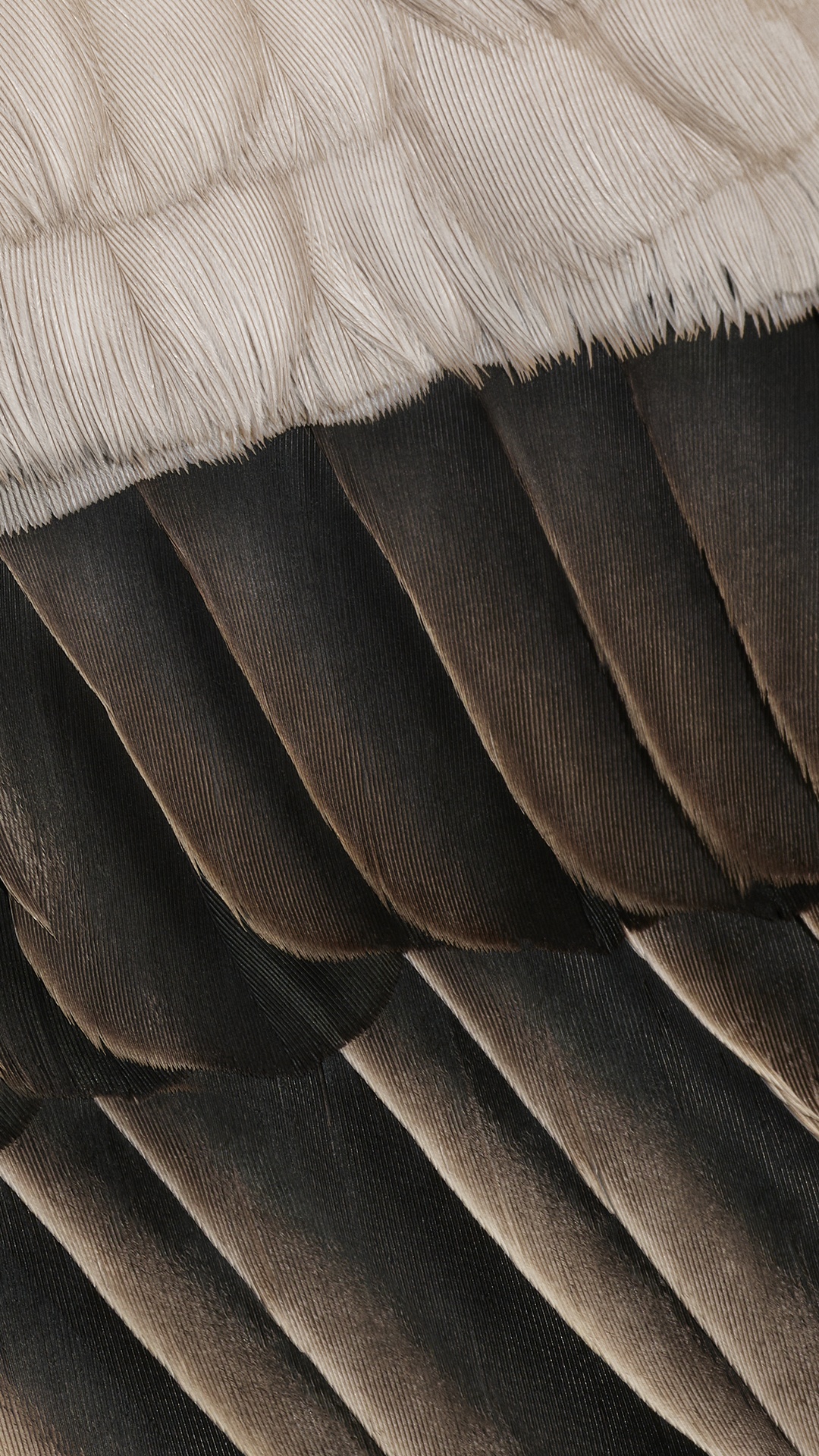 Fhd, 谷歌, 像素7a, 棕色, 木 壁纸 1080x1920 允许