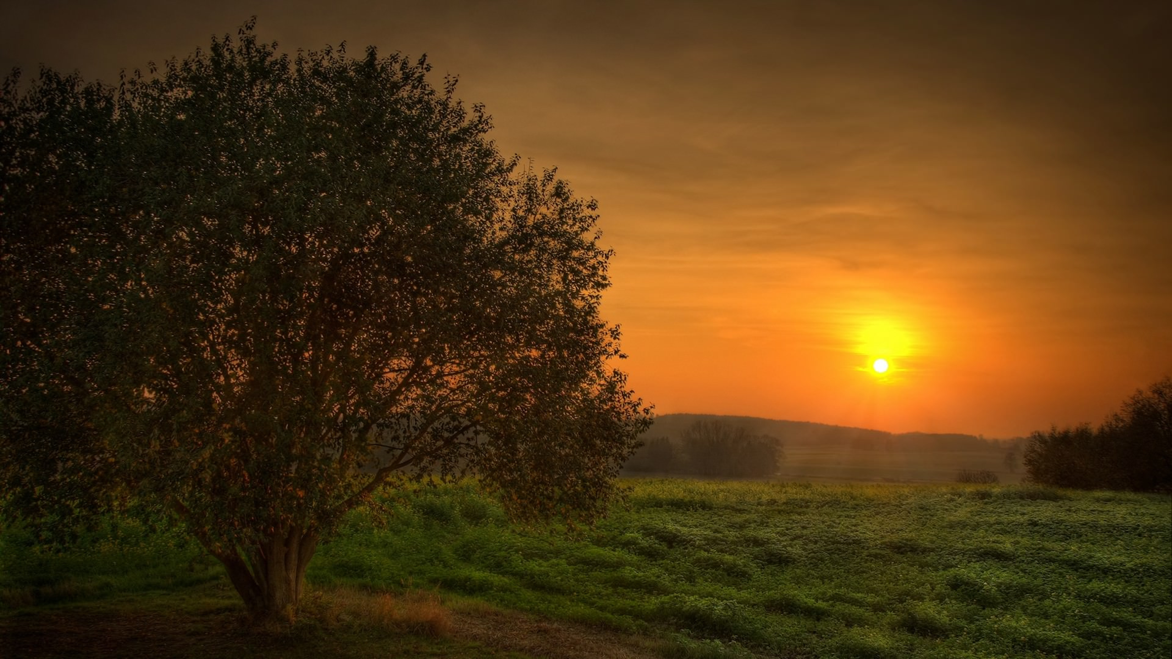 Campo de Hierba Verde Con Árboles Durante la Puesta de Sol. Wallpaper in 3840x2160 Resolution