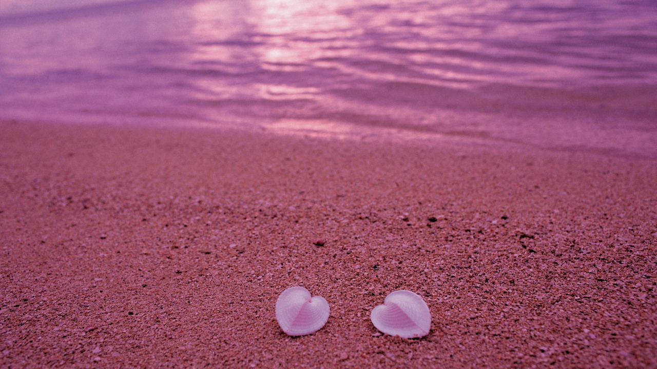 White Stones on Brown Sand During Daytime. Wallpaper in 1280x720 Resolution