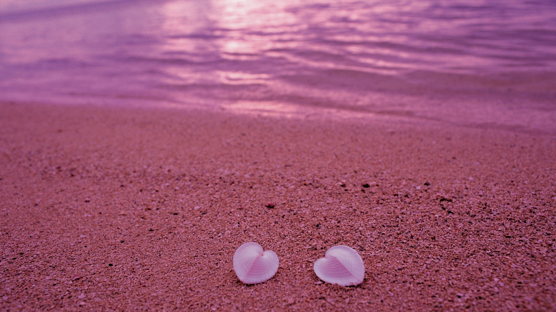 White Stones on Brown Sand During Daytime. Wallpaper in 1920x1080 Resolution